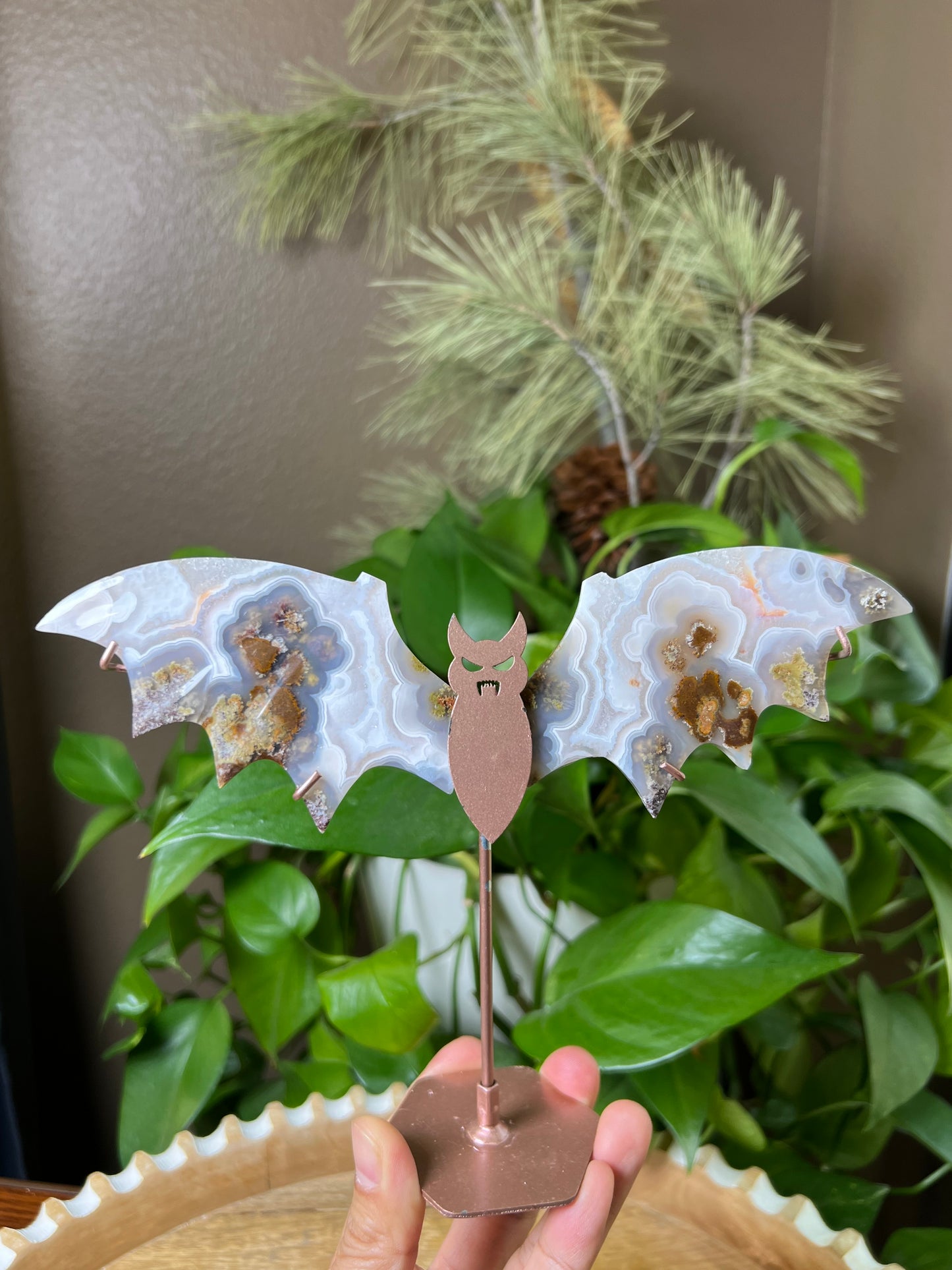 Scenic Moss Agate Bat Wings: RI