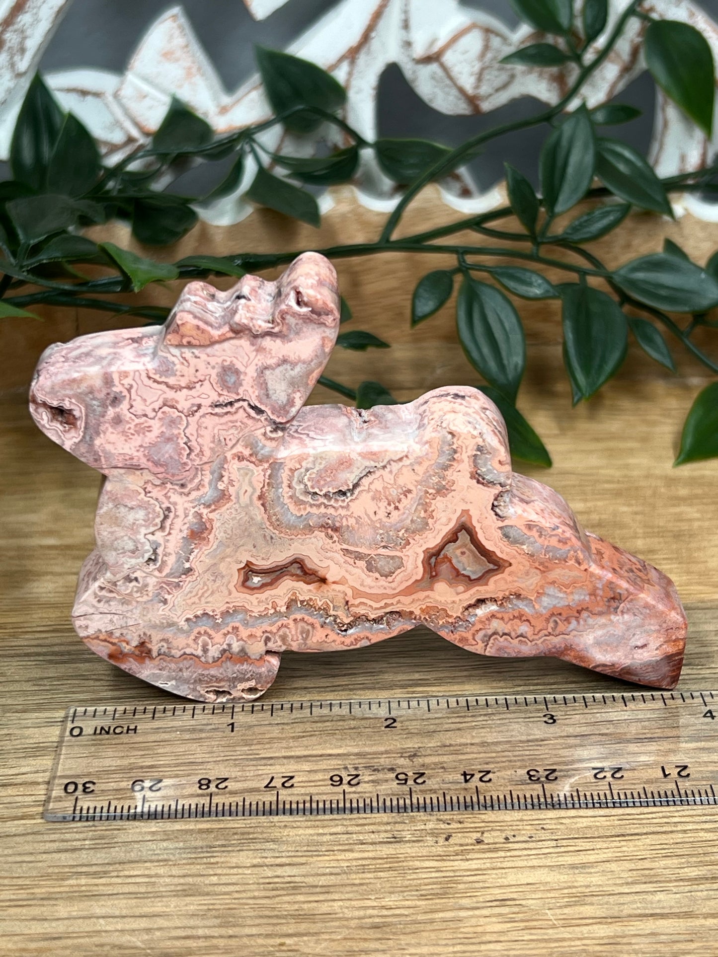 Pink Crazy Lace Agate Deer