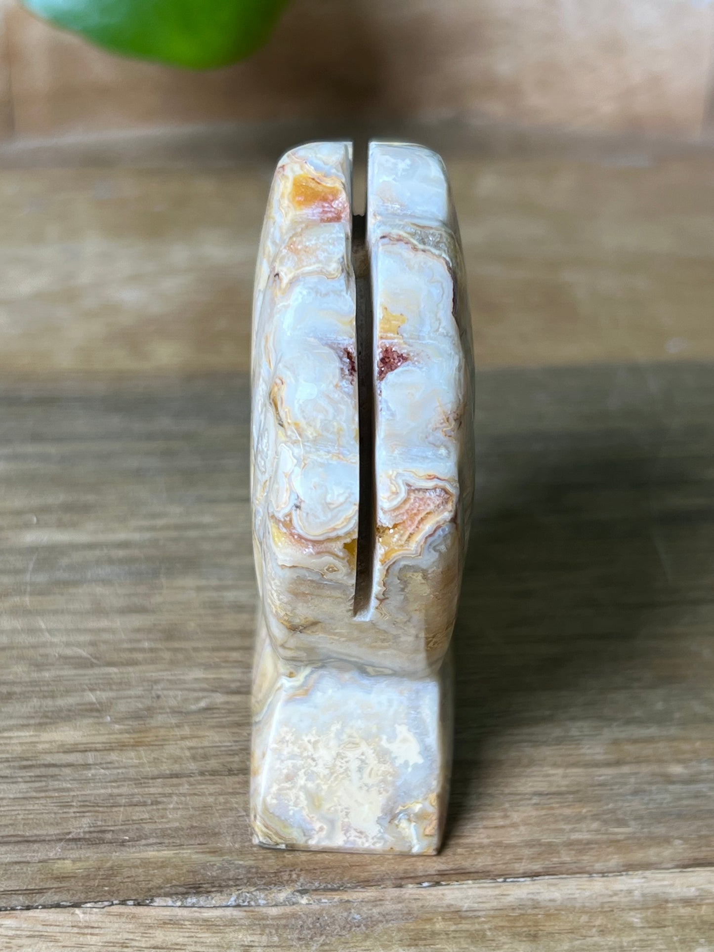 Crazy Lace Agate Shell