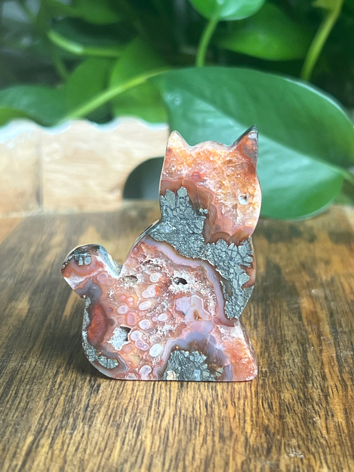Marcasite Mini Cat: XV
