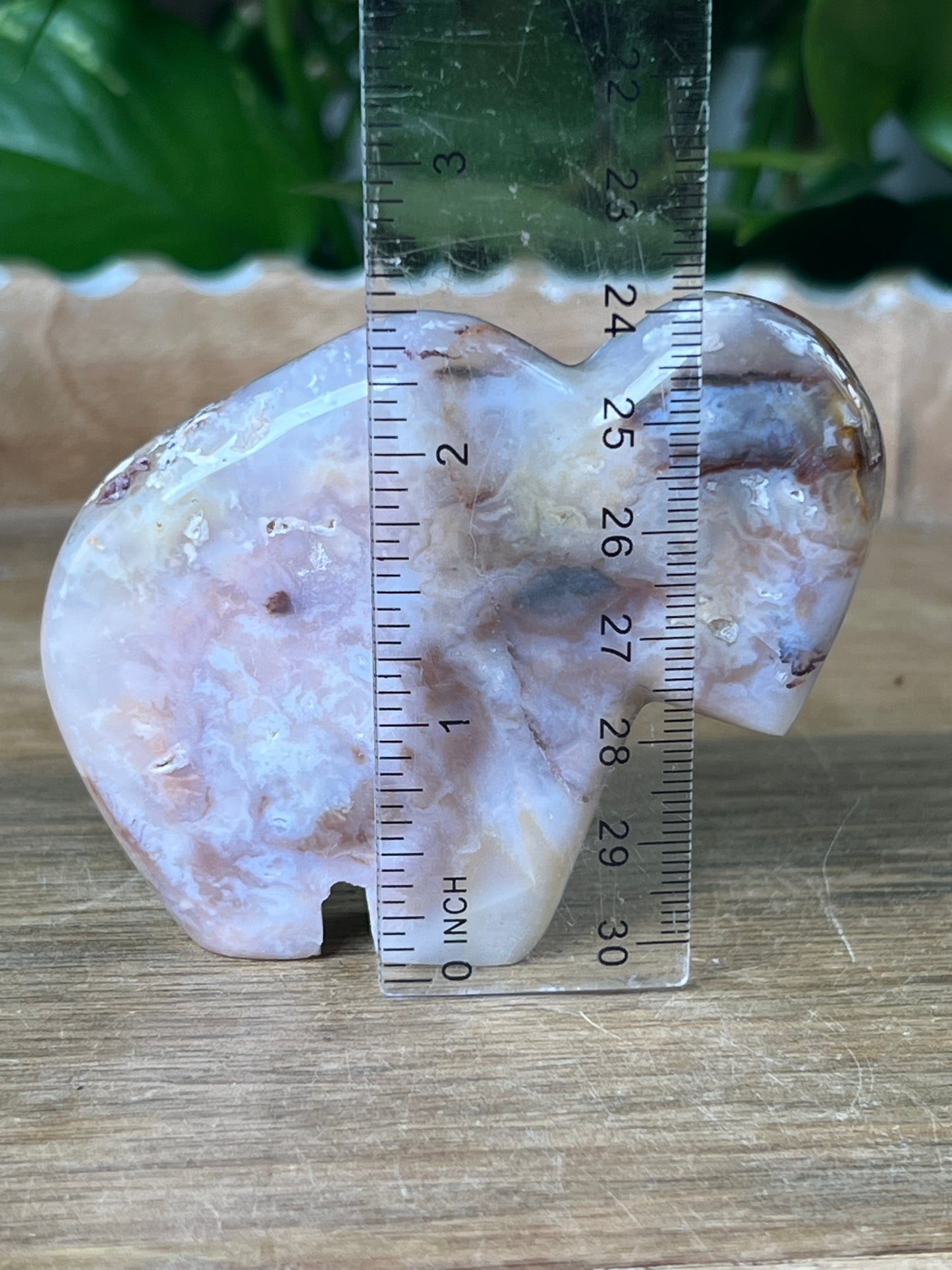 Rainbow Plume Agate Buffalo