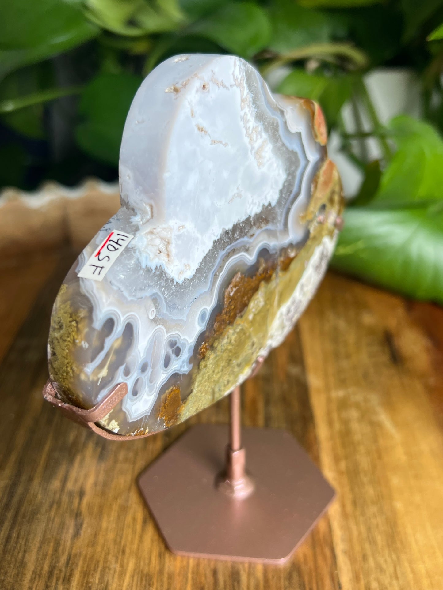 Scenic Moss Agate Cloud