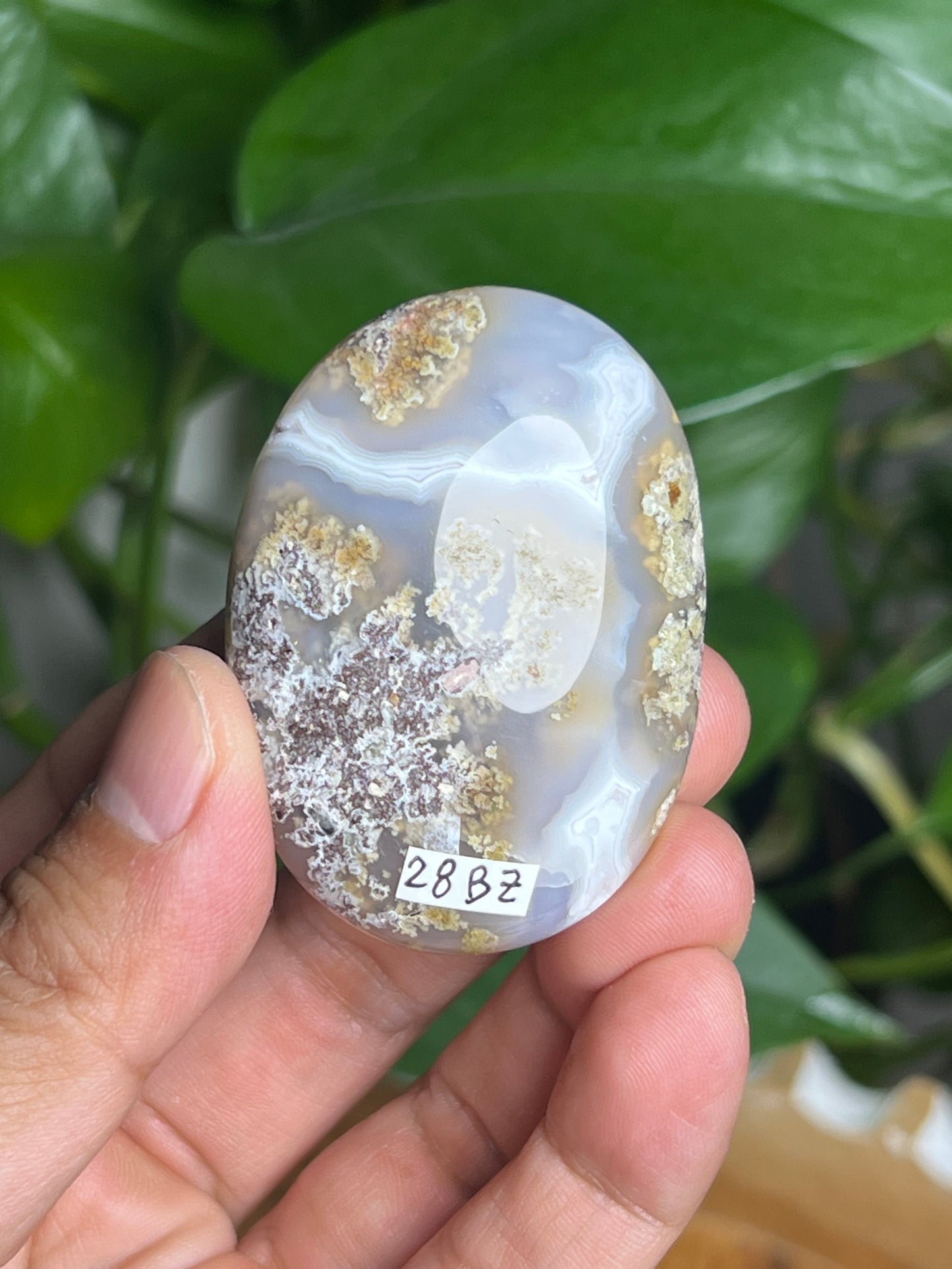Scenic Moss Agate Palmstone: BZ