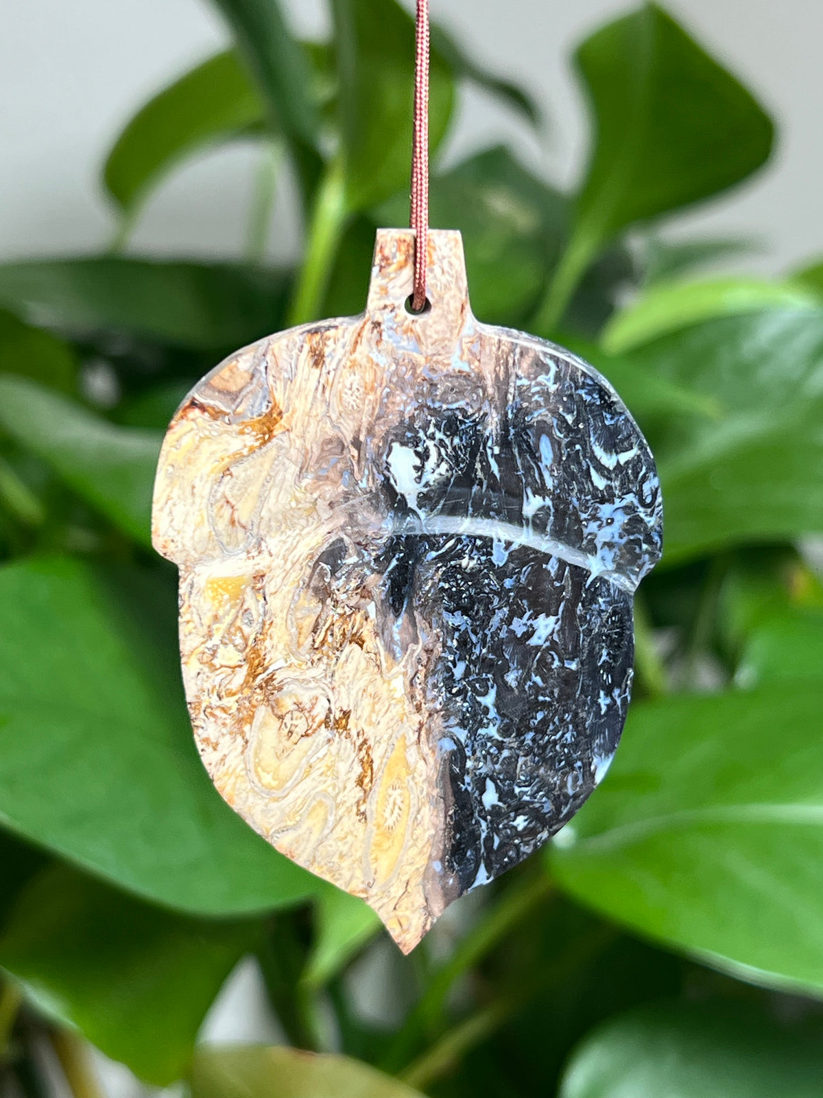 Palm Root Ornament Acorn: SA