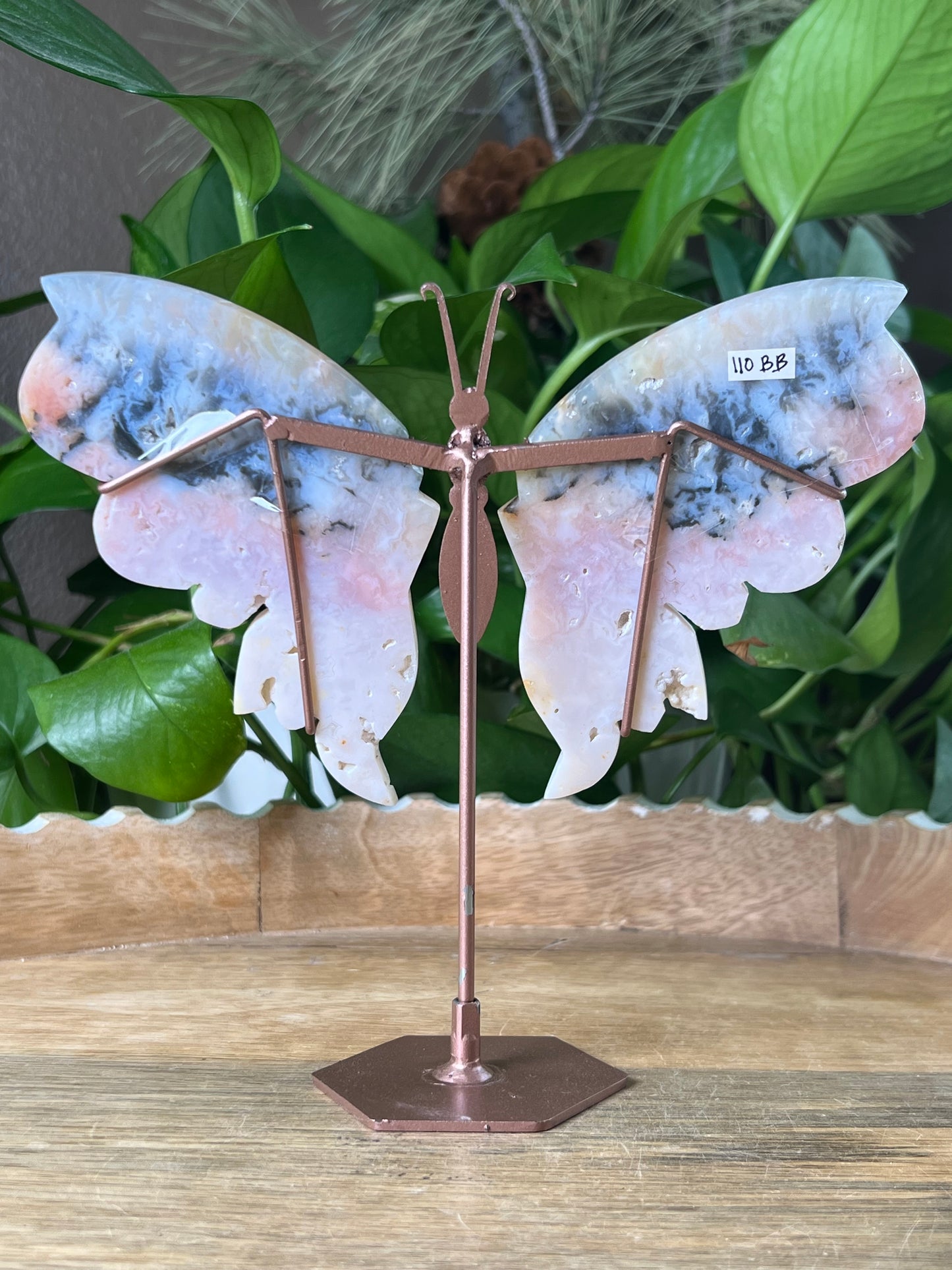 Rainbow Plume Agate Wings