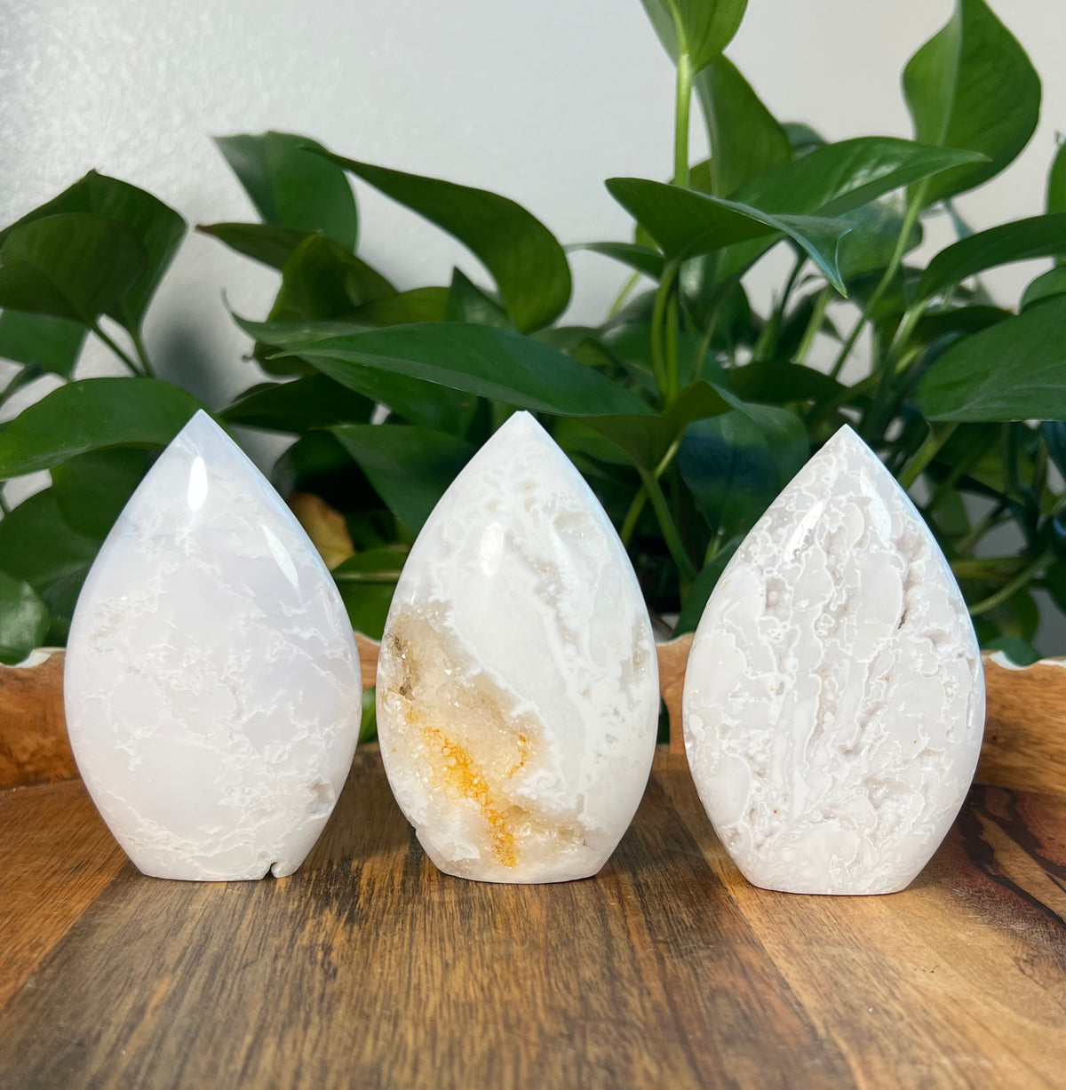 White Plume Agate Flames
