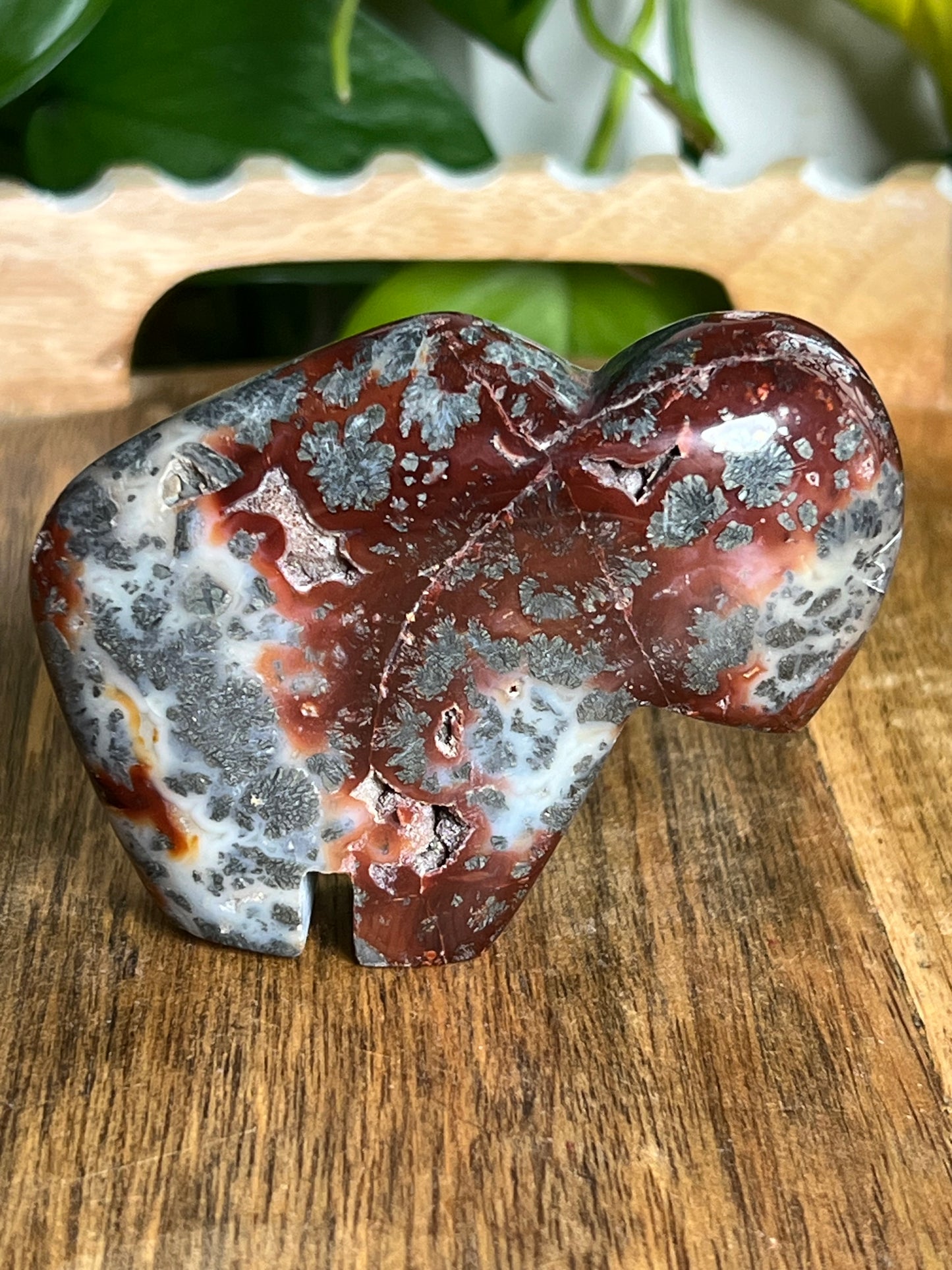 Marcasite Buffalo