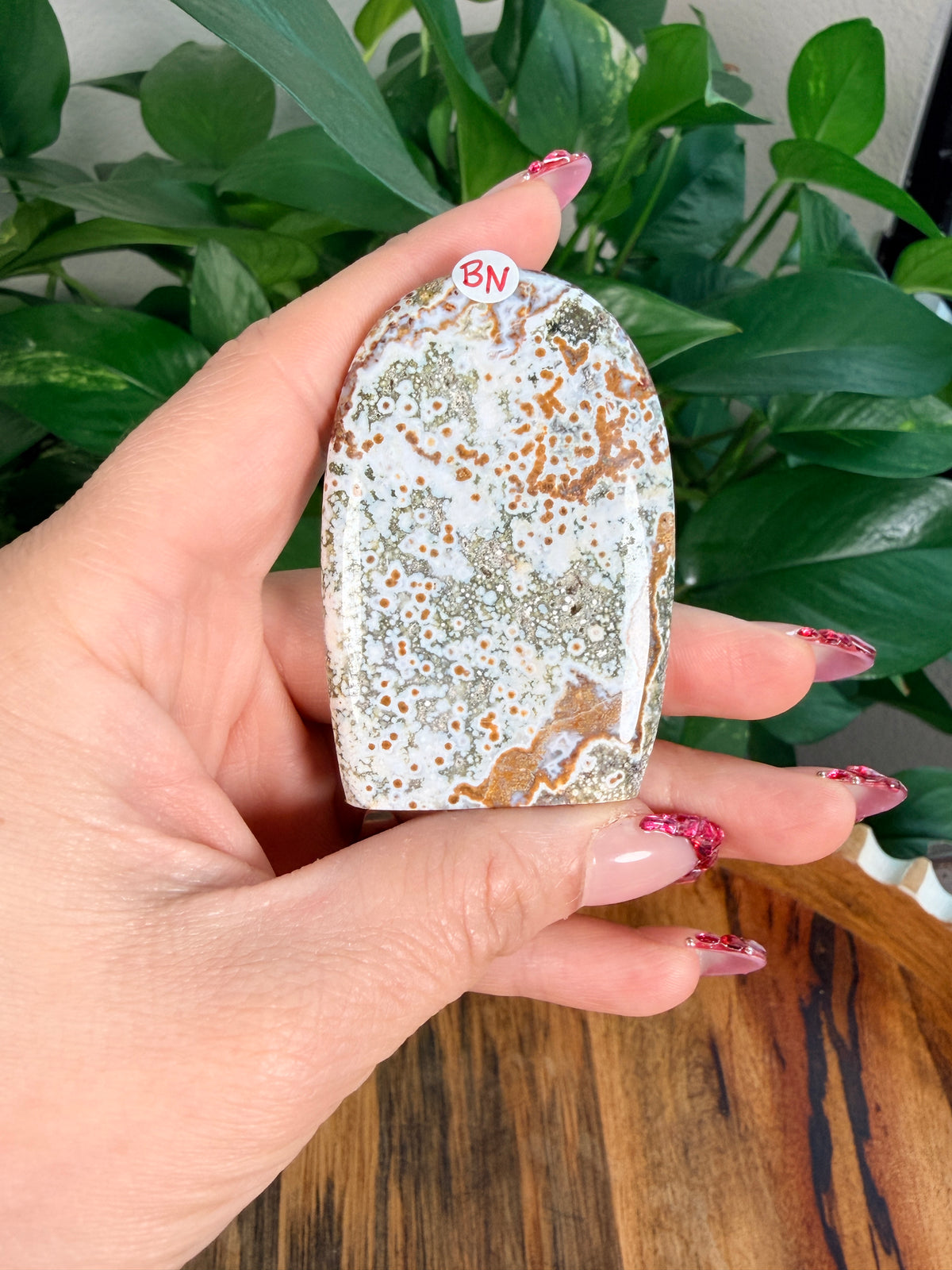 Sea Jasper Mini Freeforms