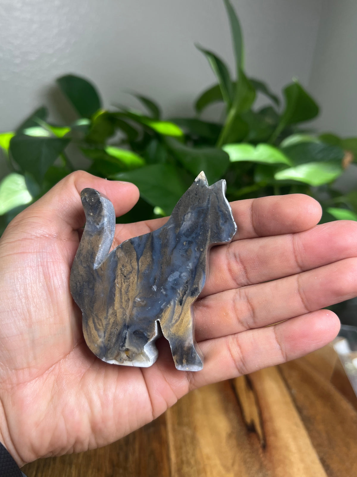 Dendritic Tiger Agate Cat: BG
