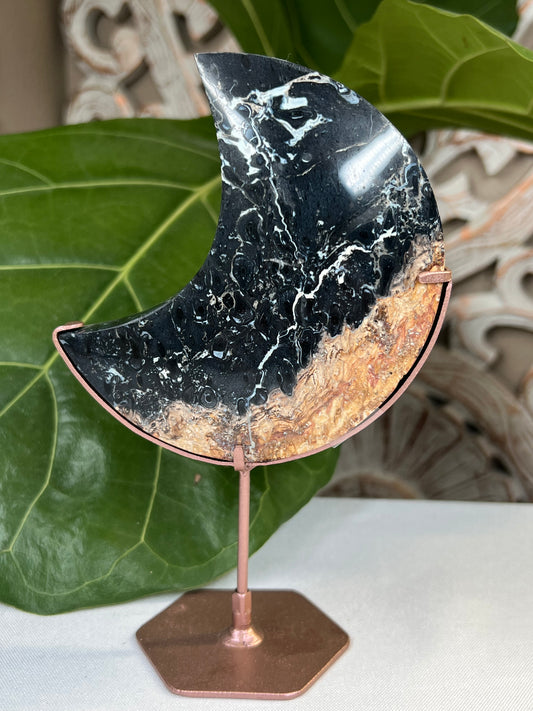 Palm Root Moon