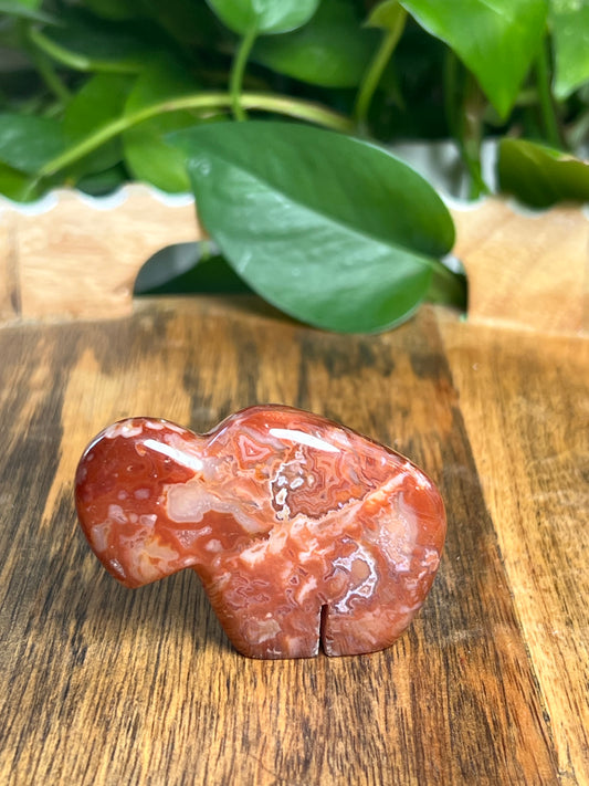 Carnelian Mini Buffalo: Z