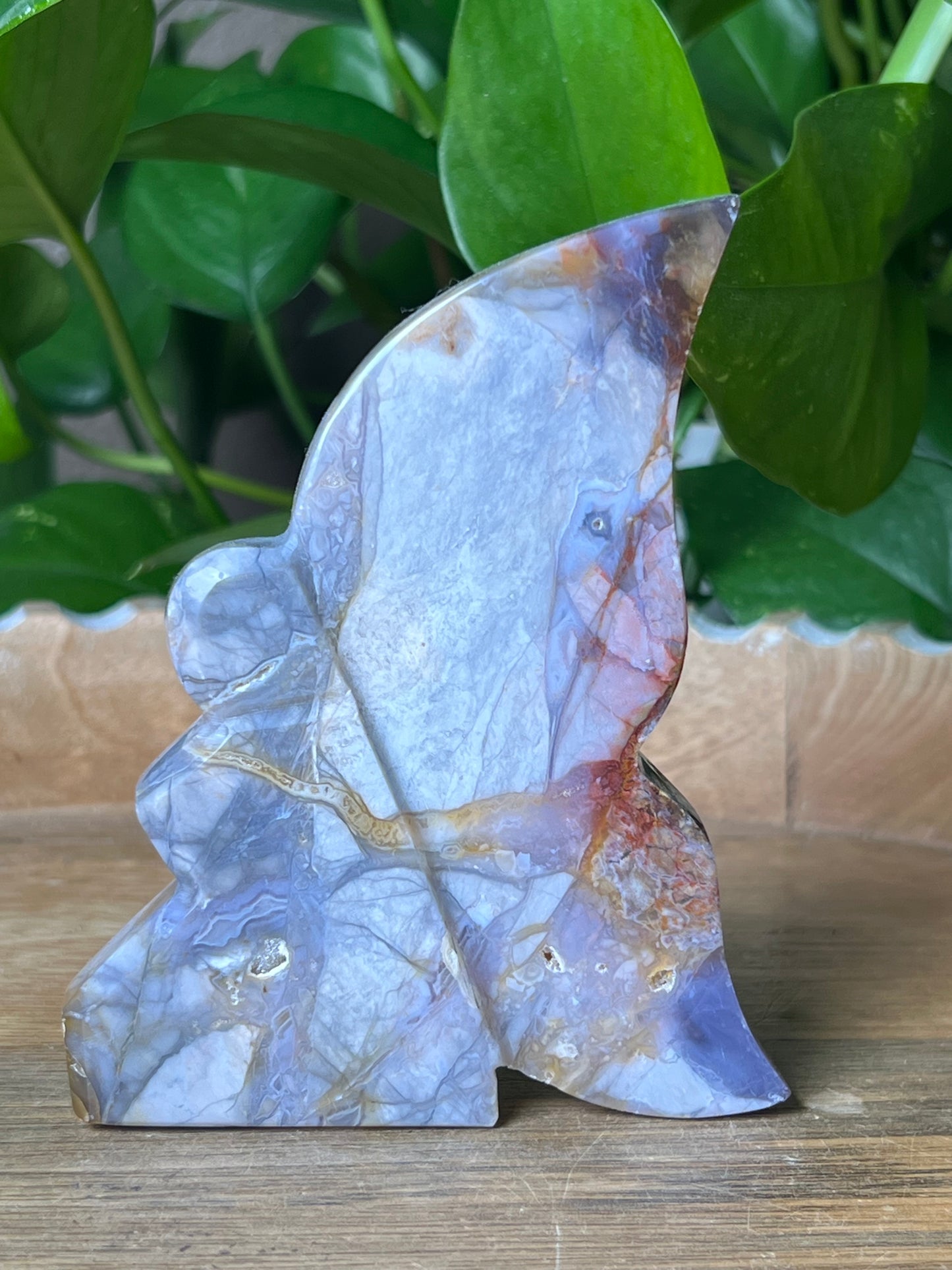 River Jasper Fairy