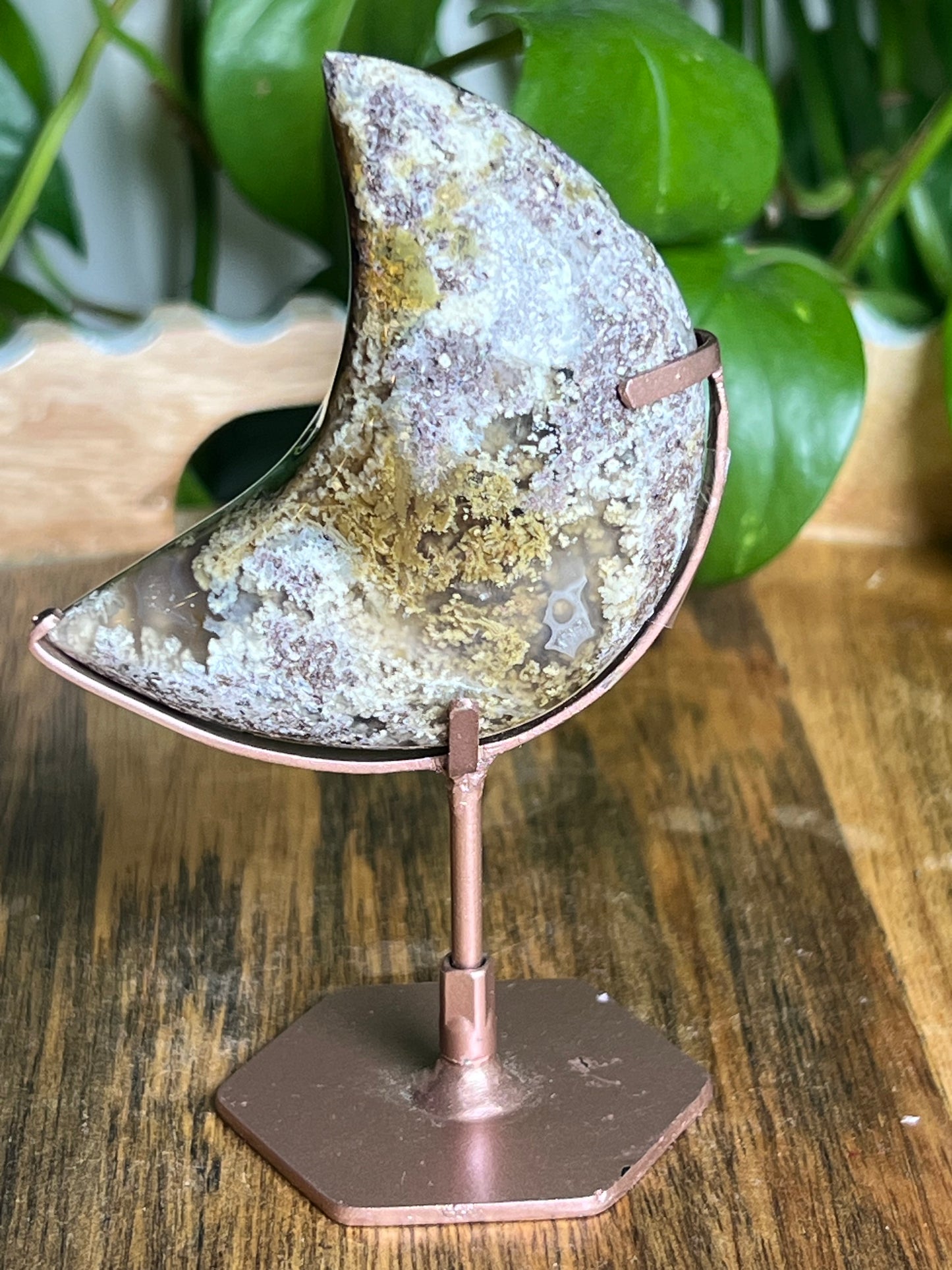 Scenic Moss Agate Moon