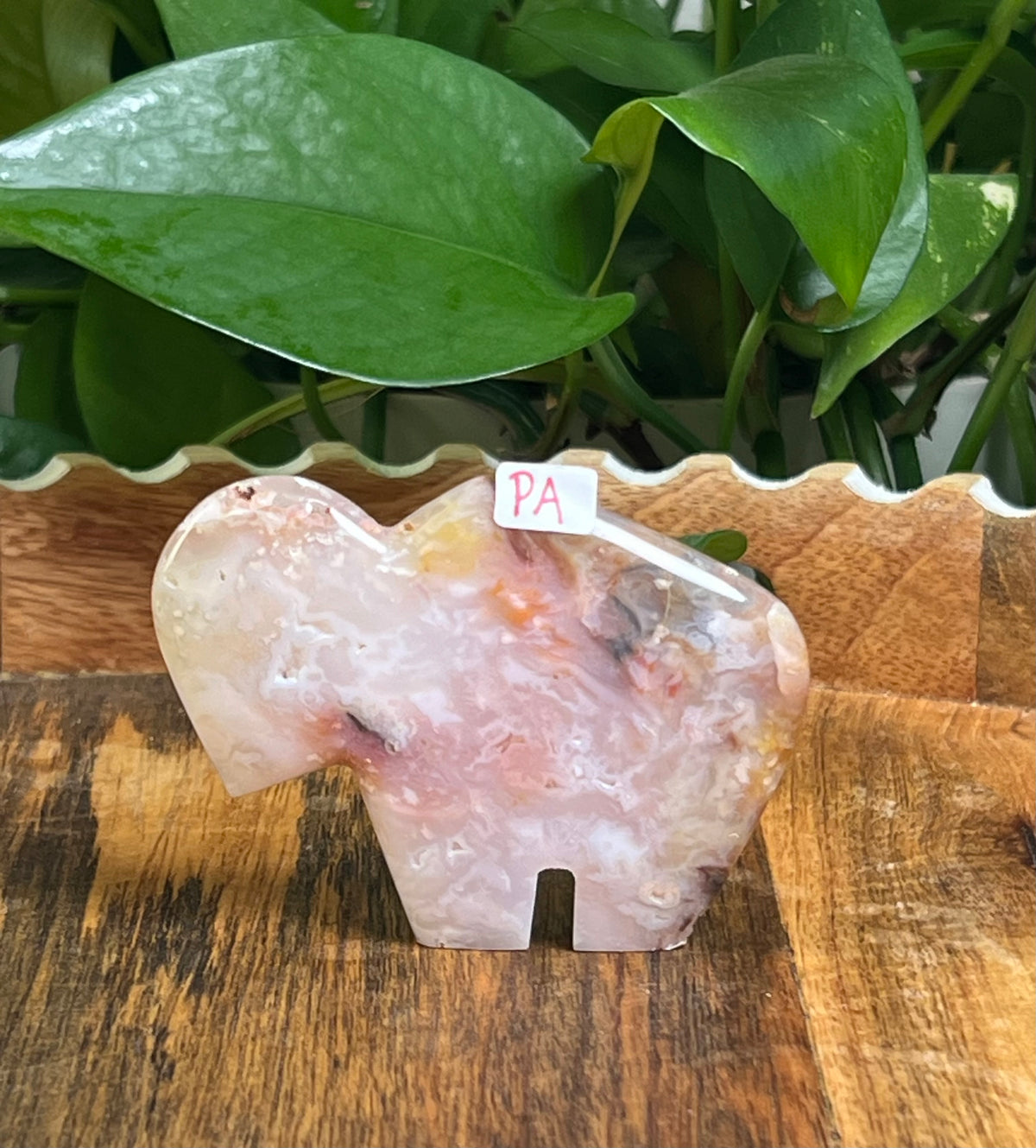 Rainbow Plume Agate Buffalos