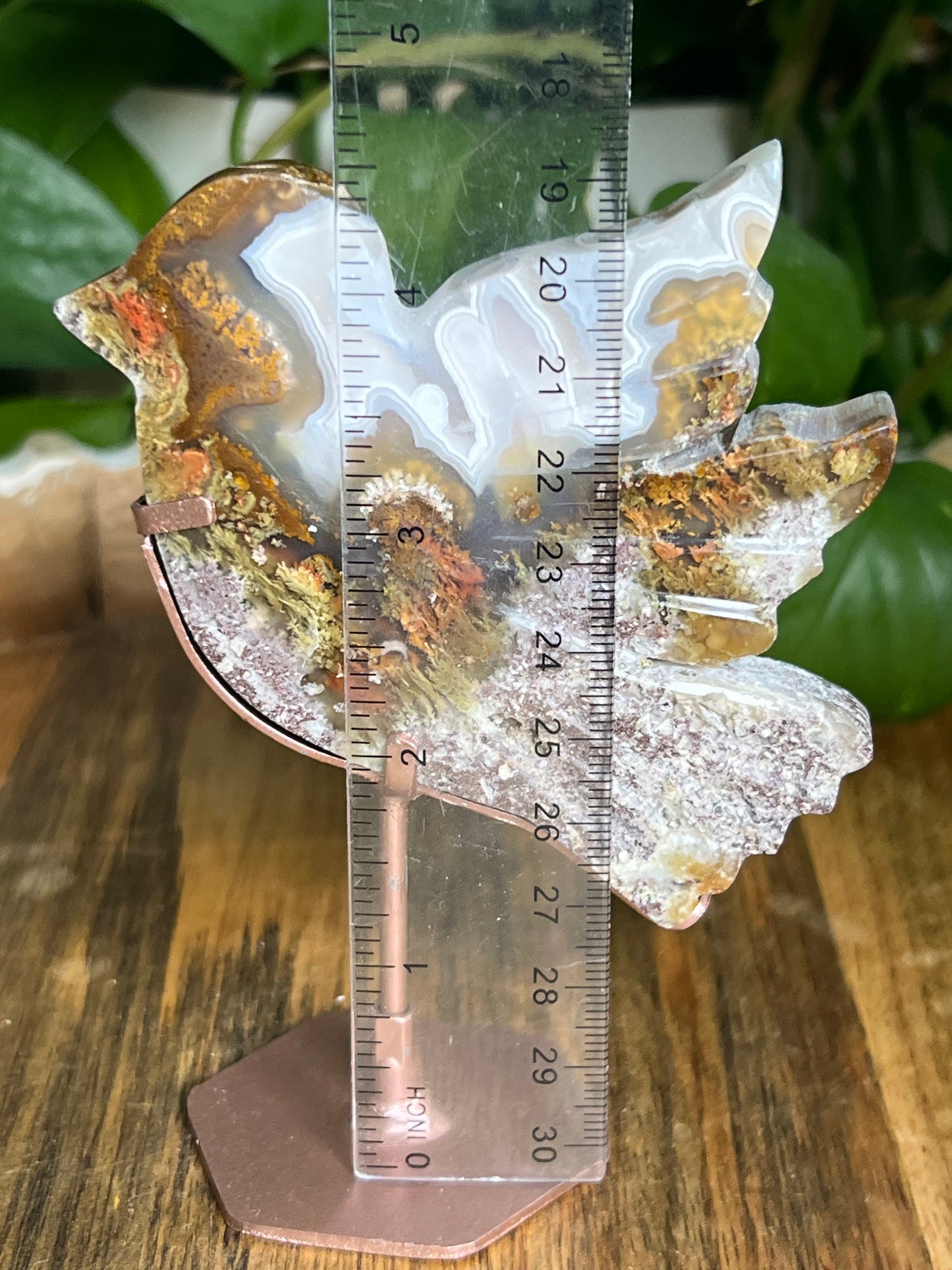 Scenic Moss Agate Bird