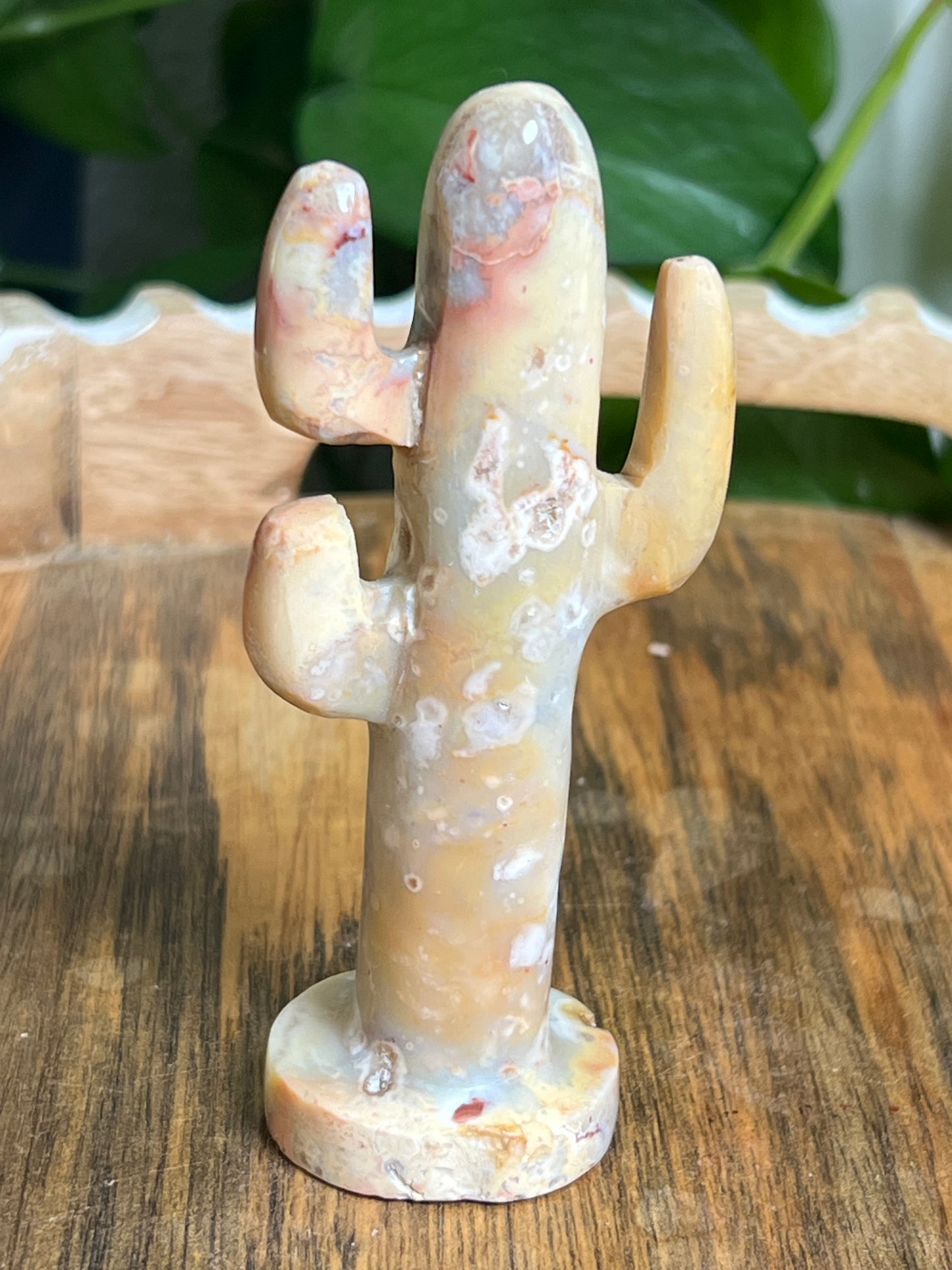 Crazy Lace Agate Cactus