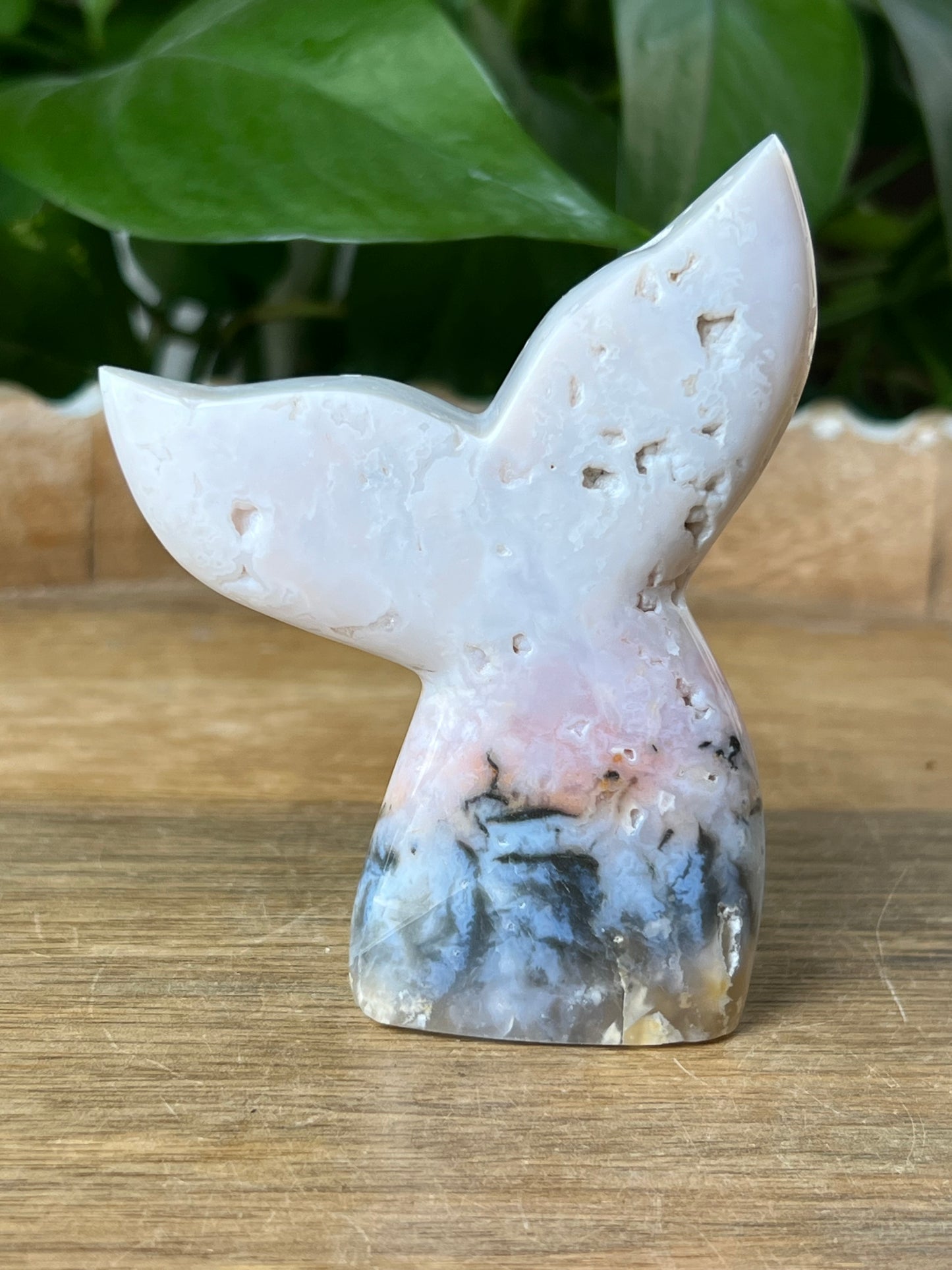 Rainbow Plume Agate Tail