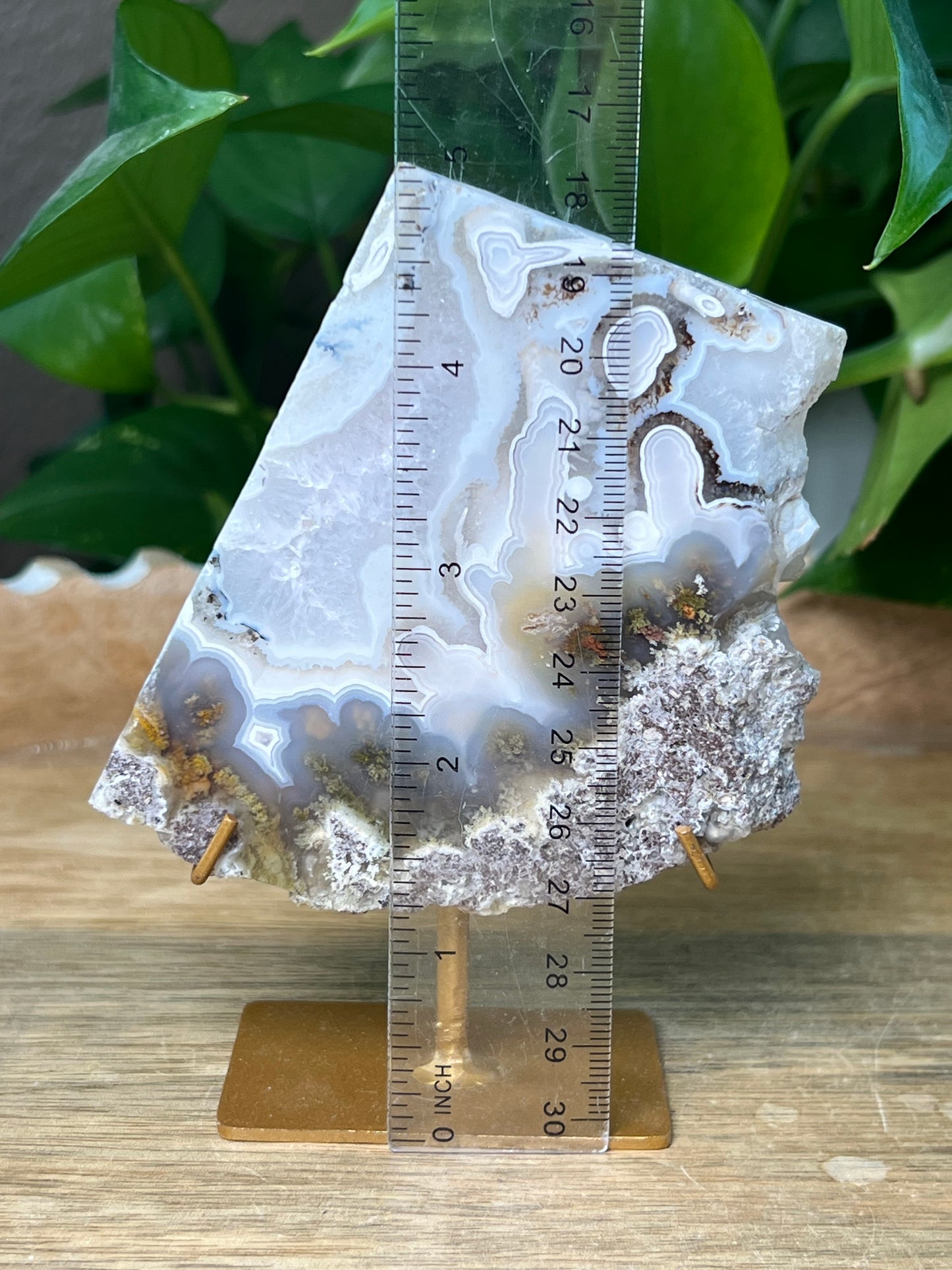 Scenic Moss Agate Slab