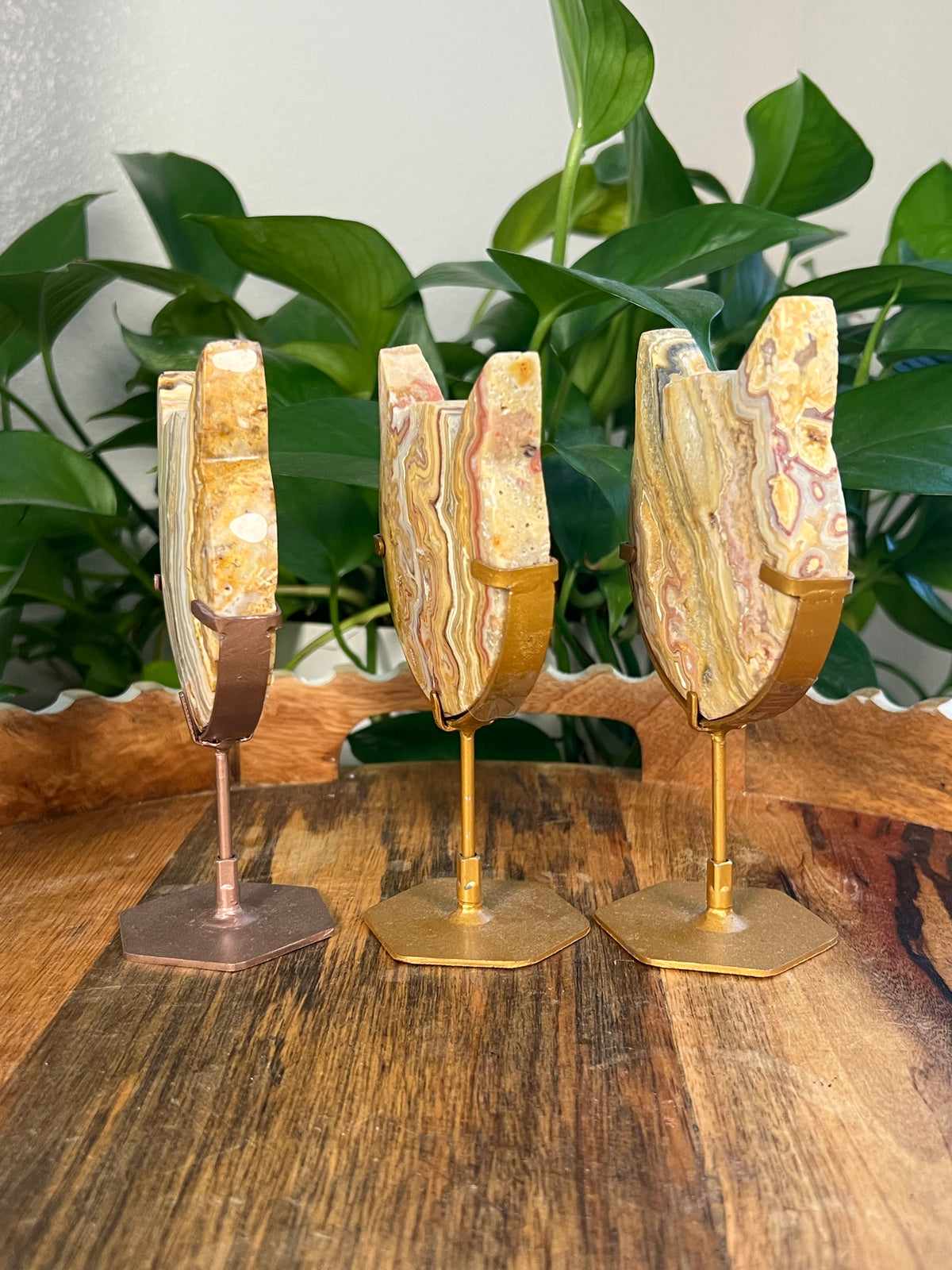 Yellow Crazy Lace Agate Cat Heads