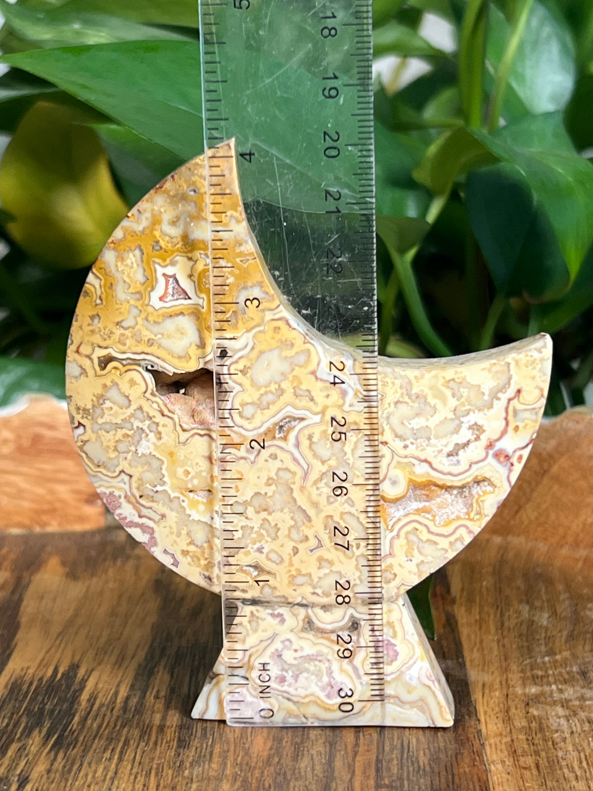 Yellow Crazy Lace Agate Self Standing Moons