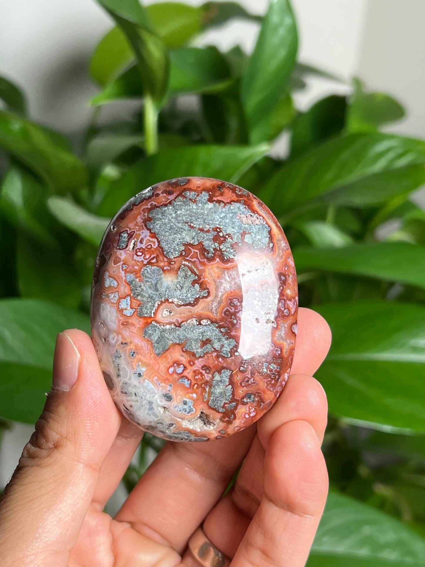 Marcasite Palmstone: Li
