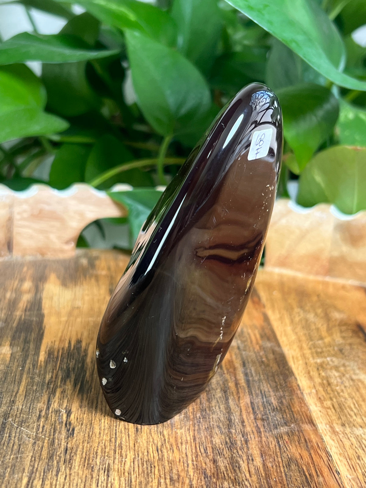 Blue Amber Freeform: F