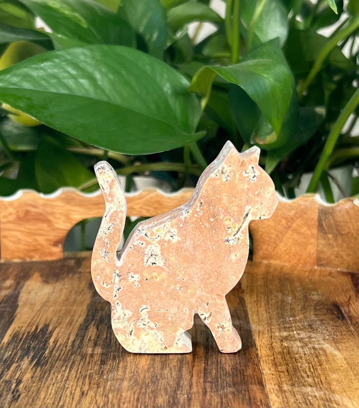 Peachy Pink Dendritic Jasper Cats