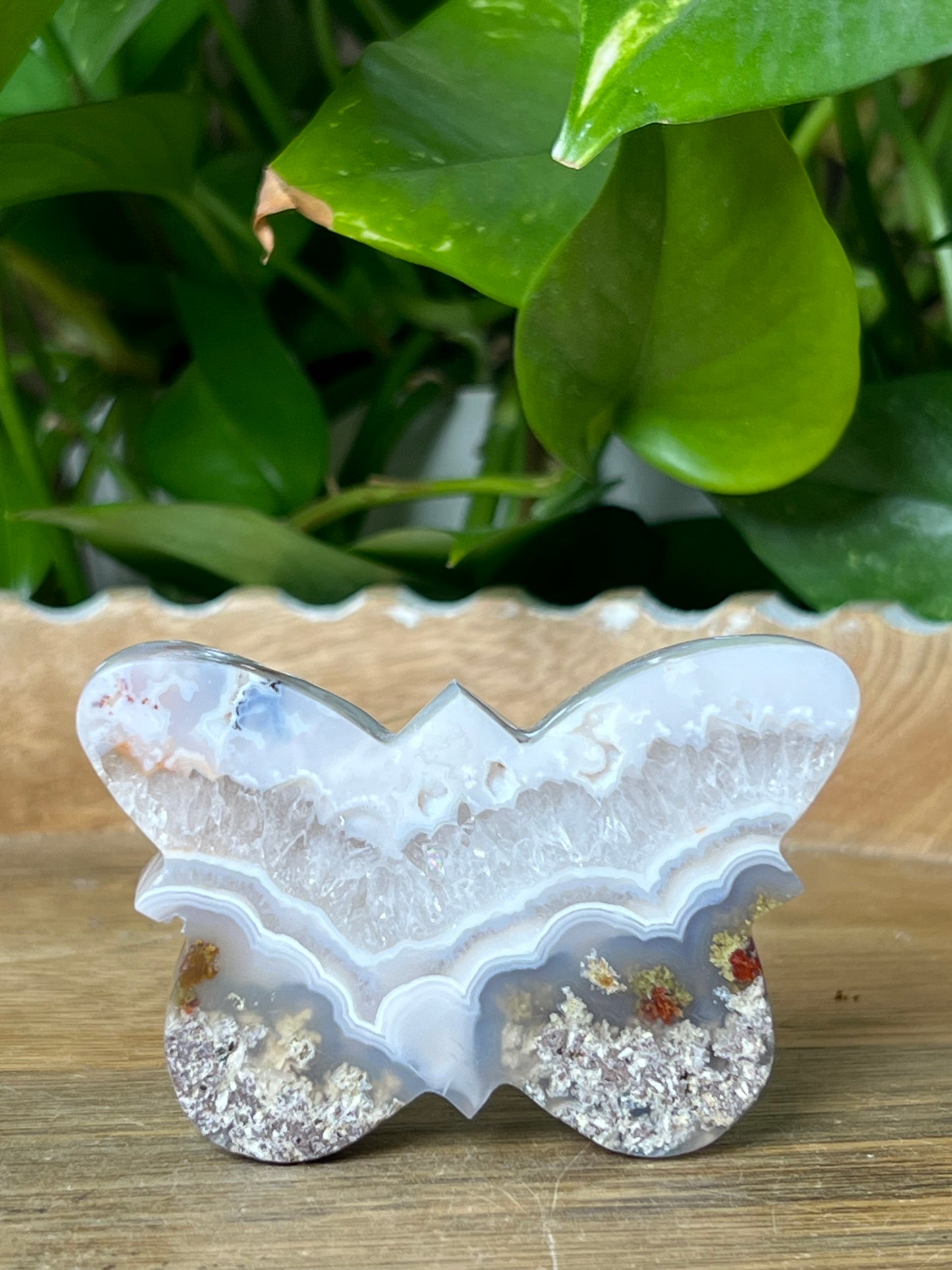 Scenic Moss Agate Butterfly