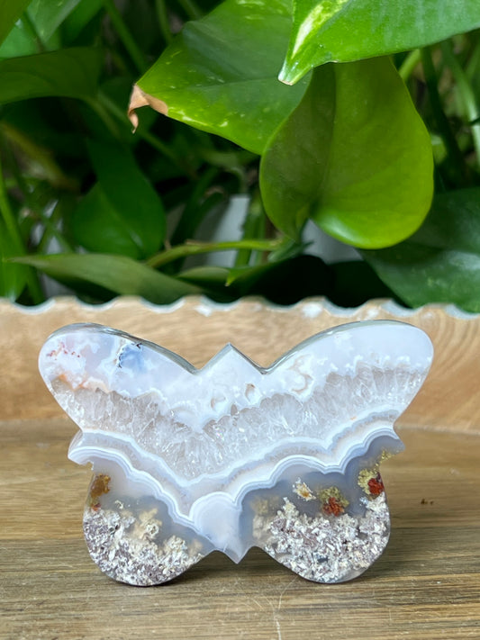 Scenic Moss Agate Butterfly