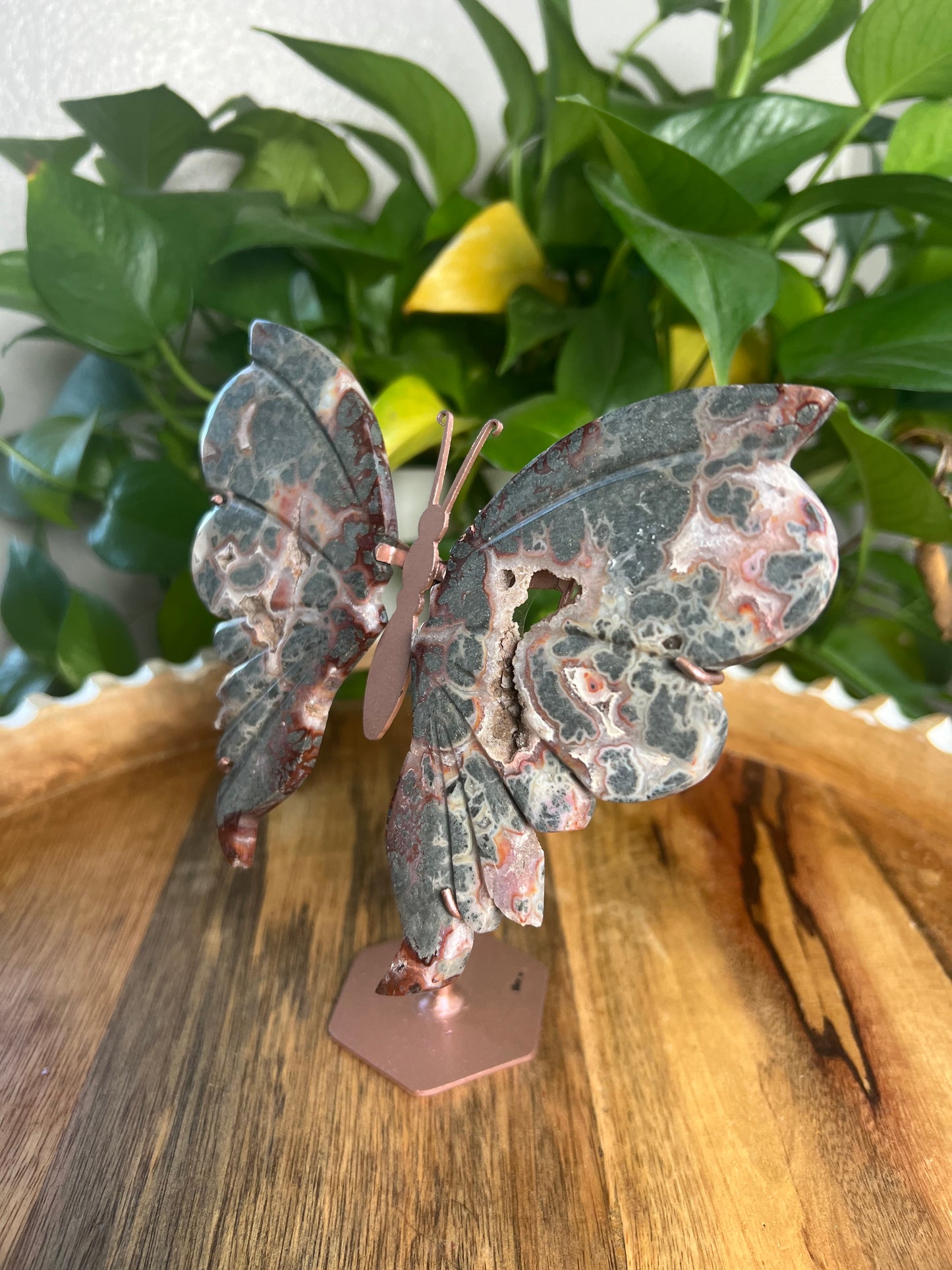 Marcasite Wings PB