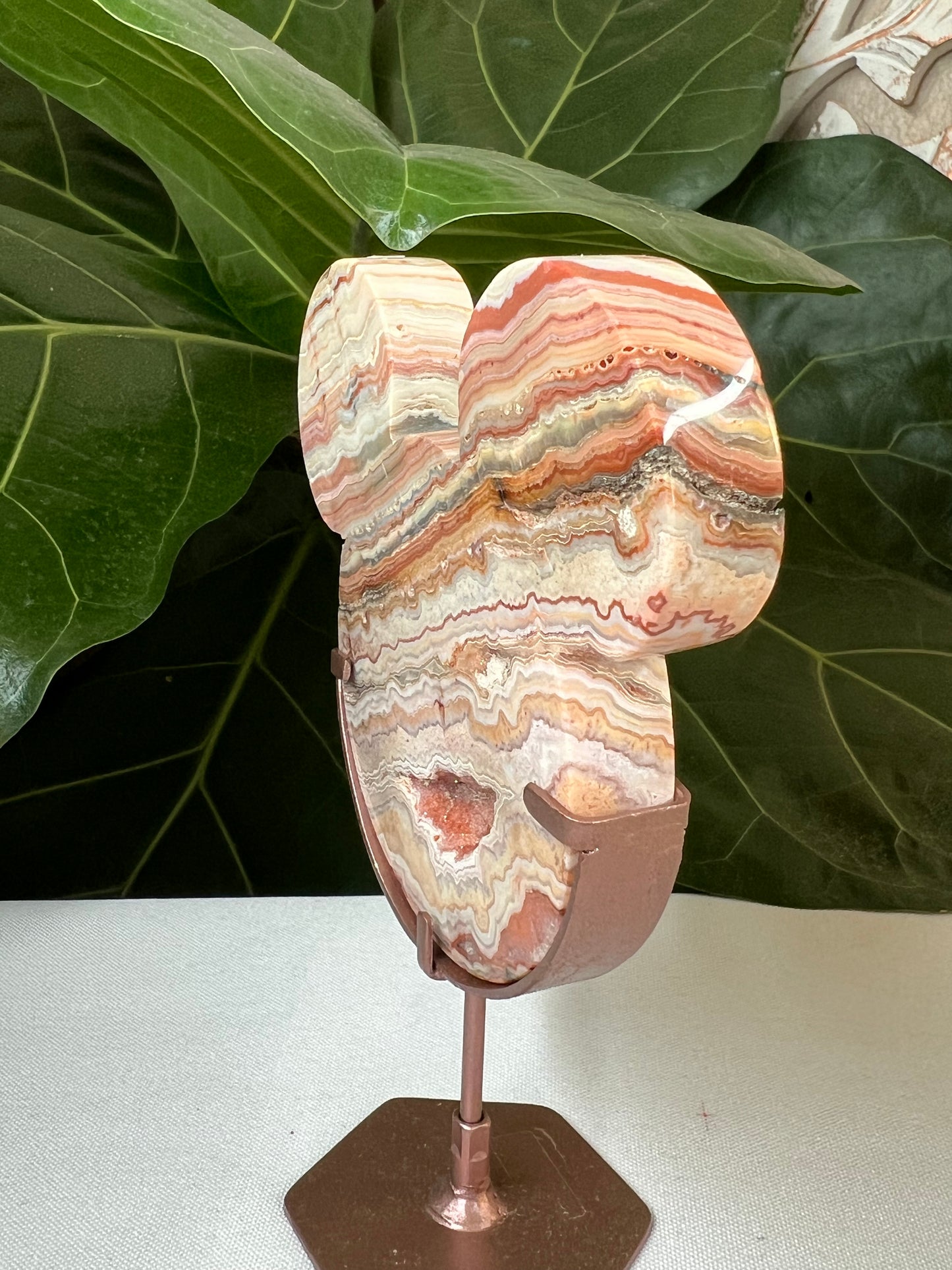 Crazy Lace Agate Bear Head