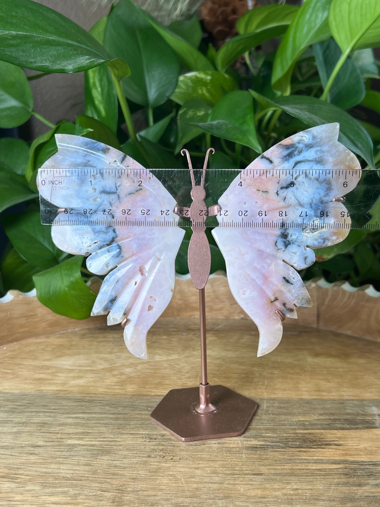 Rainbow Plume Agate Wings