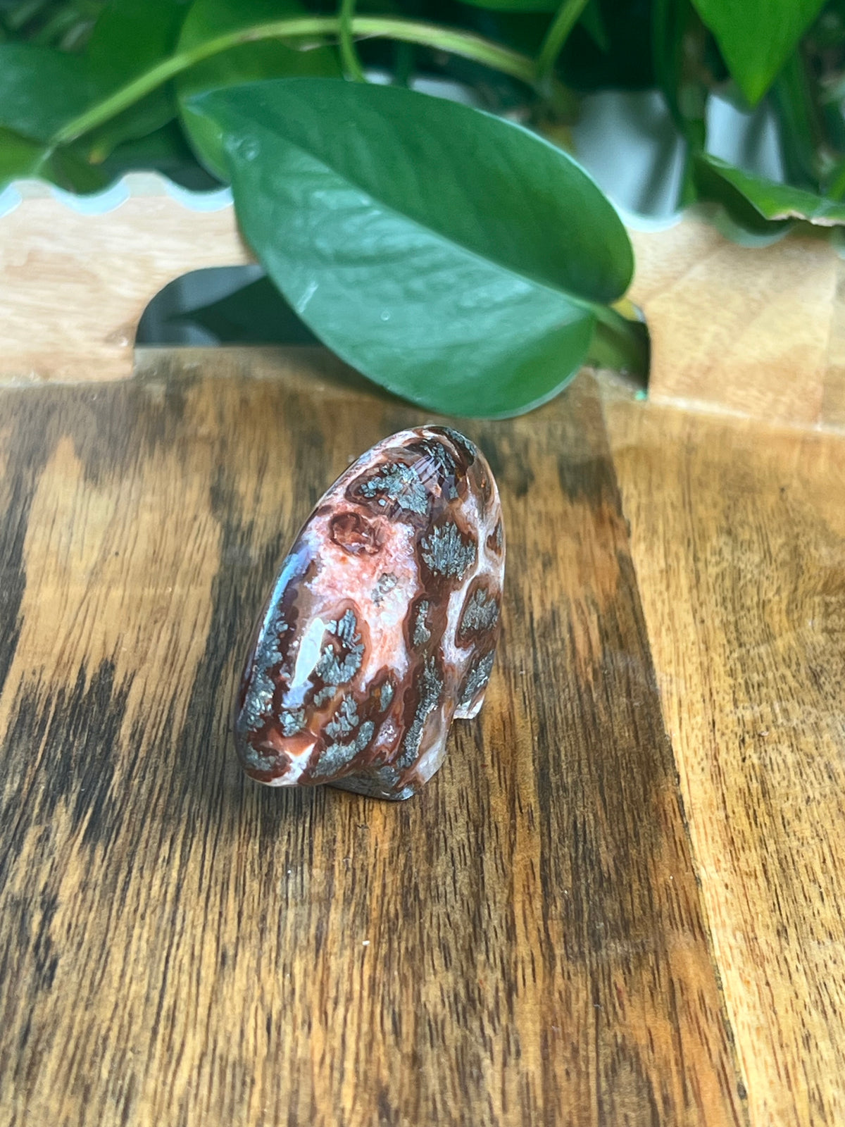Marcasite Bear: RP