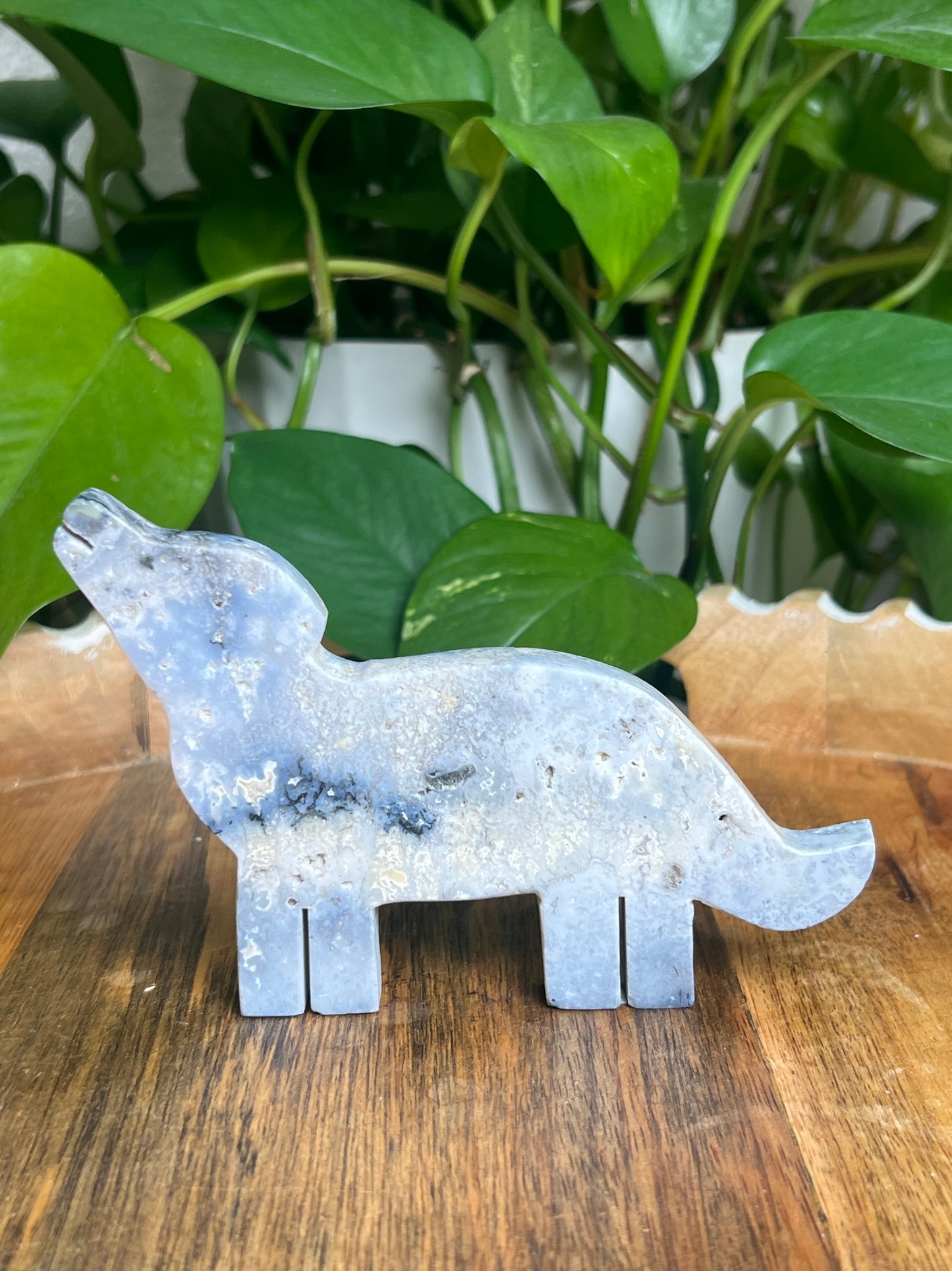 Blue Plume Agate Wolf: B