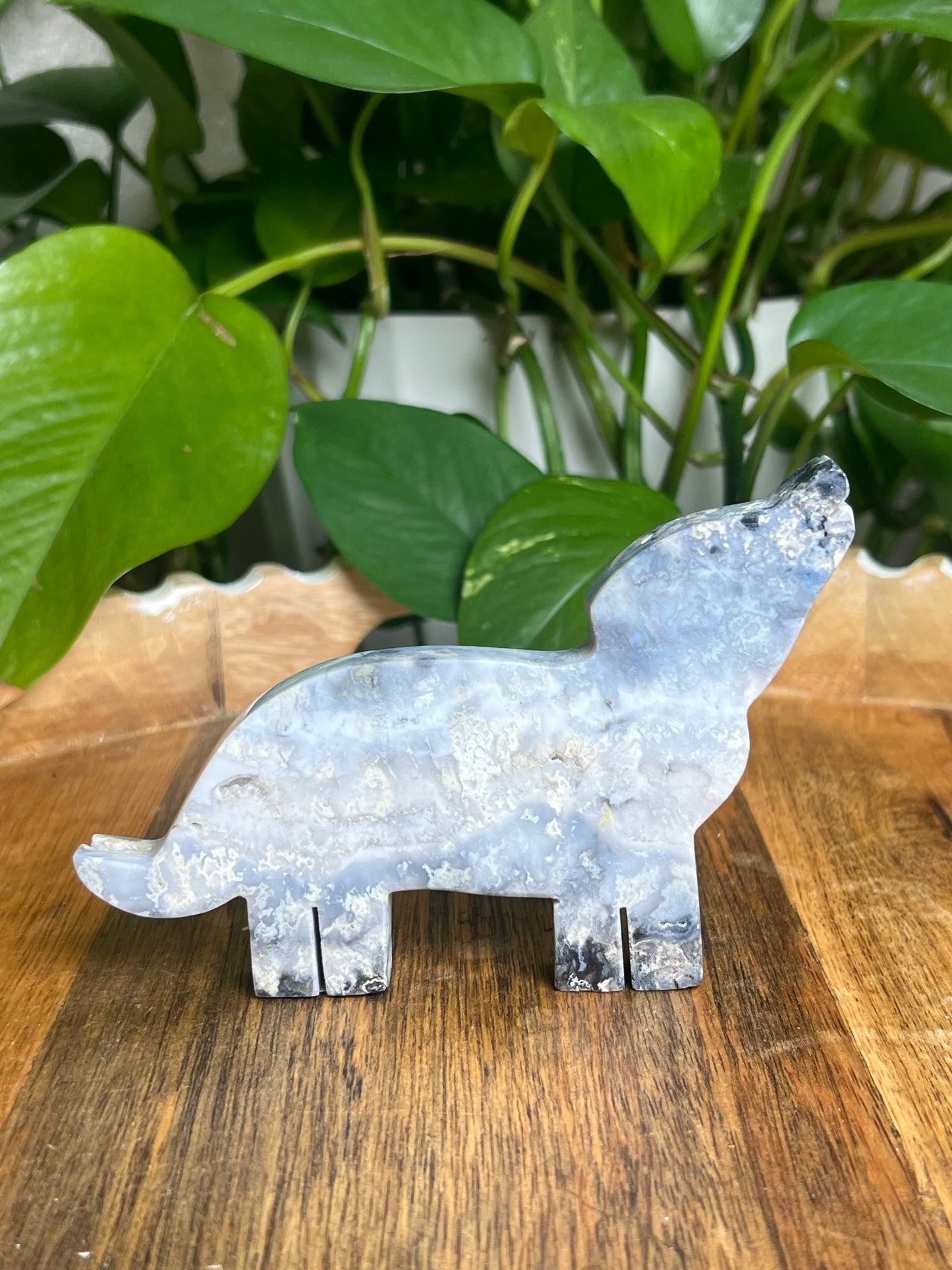 Blue Plume Agate Wolf: F
