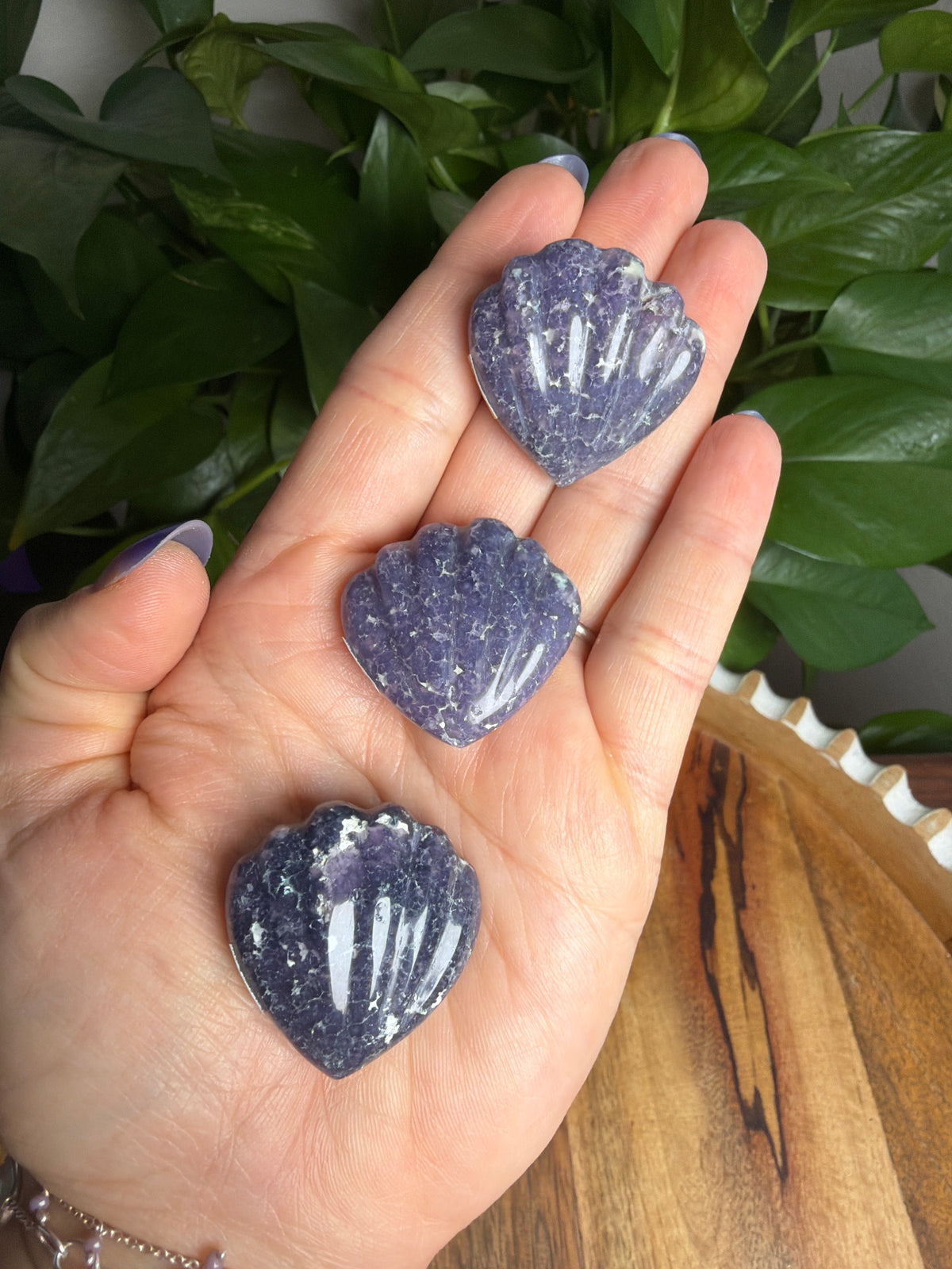 Grape Agate Shells