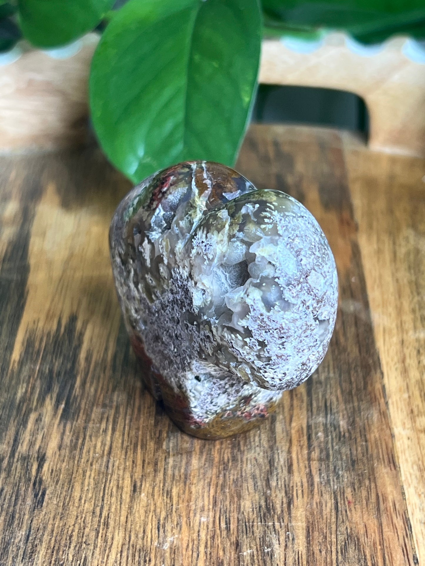 Scenic Moss Agate Buffalo NA