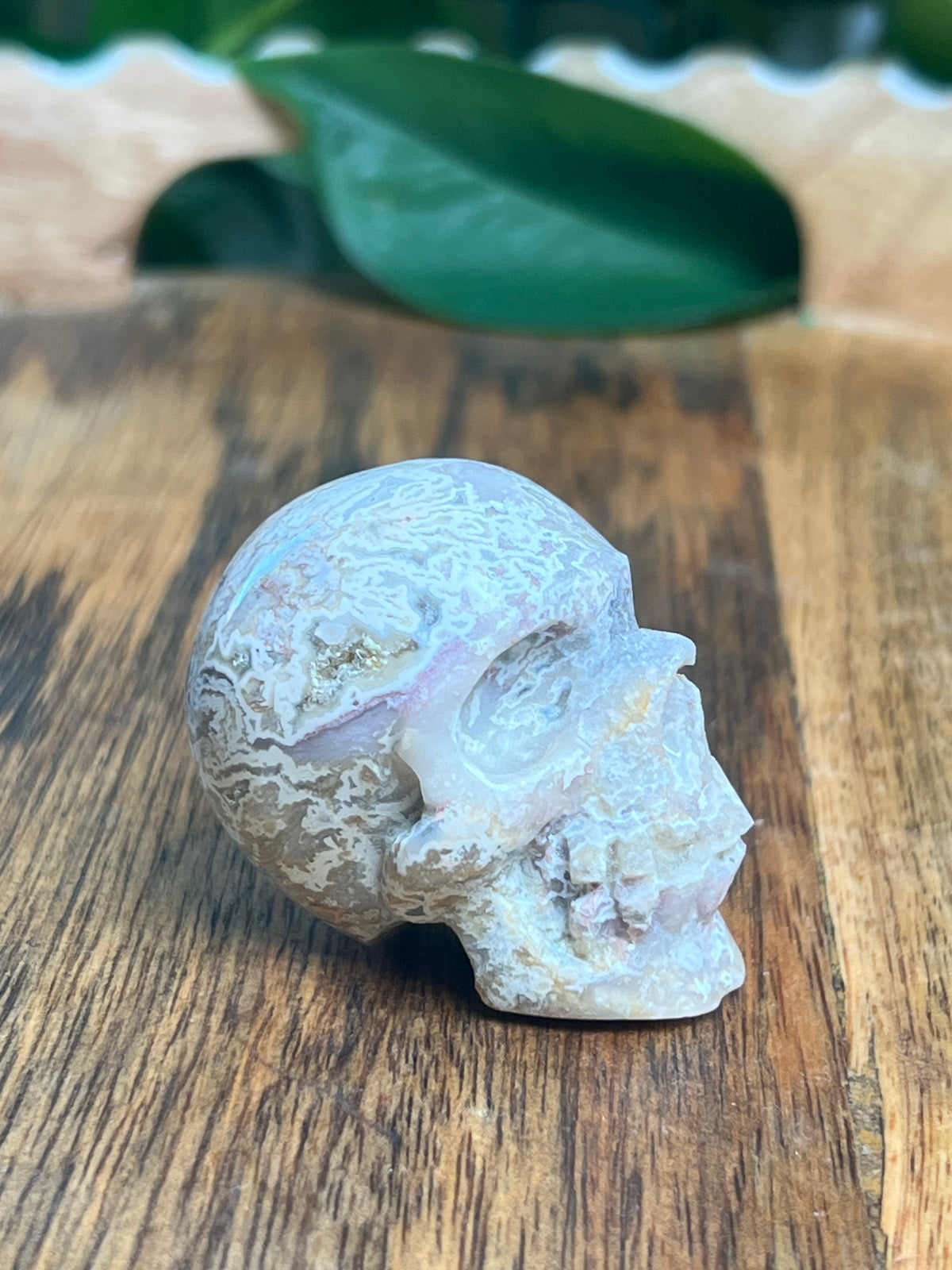 Sumatra Plume Agate Mini Skull: D