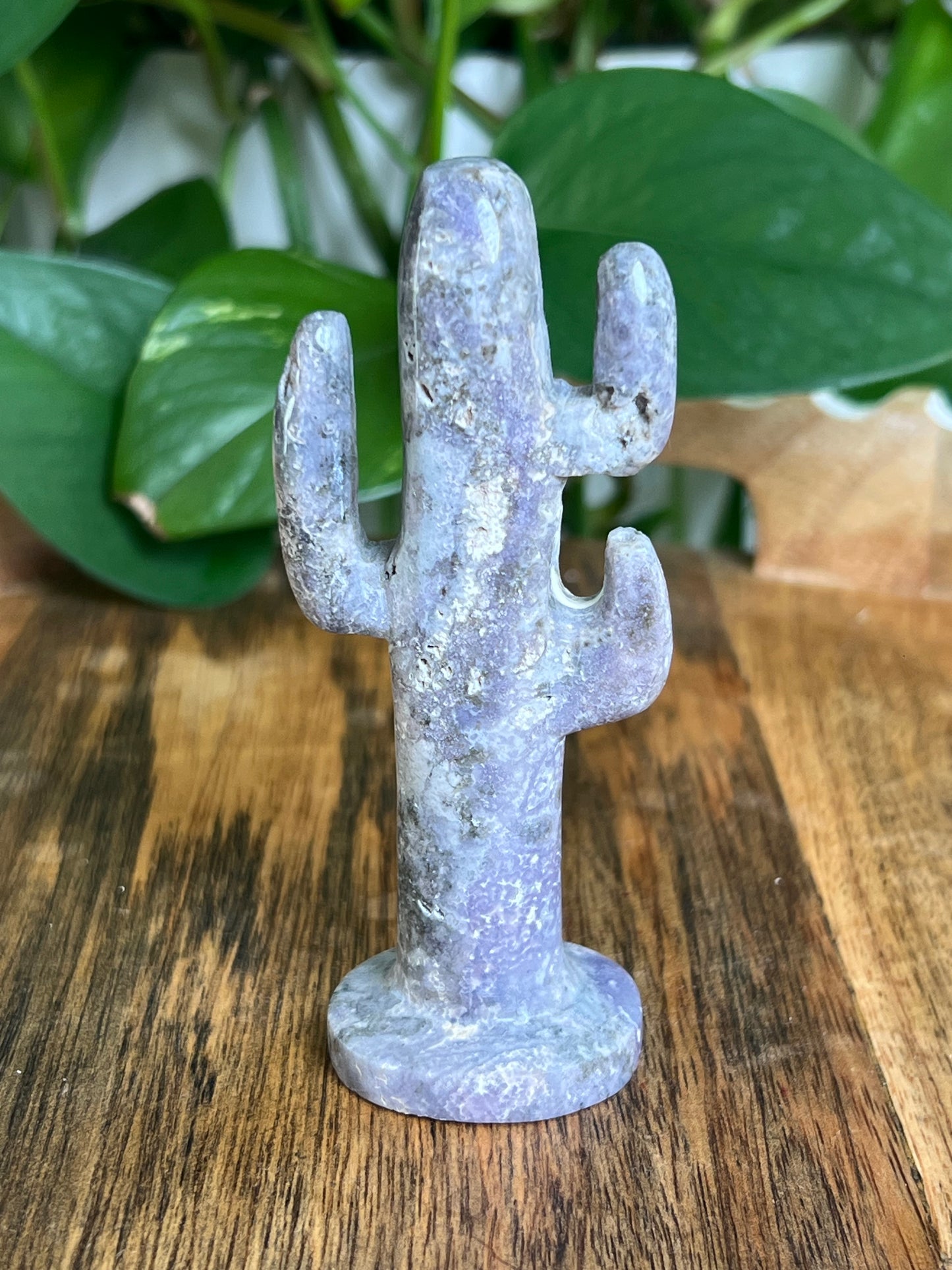 Grape Agate Cactus: AS