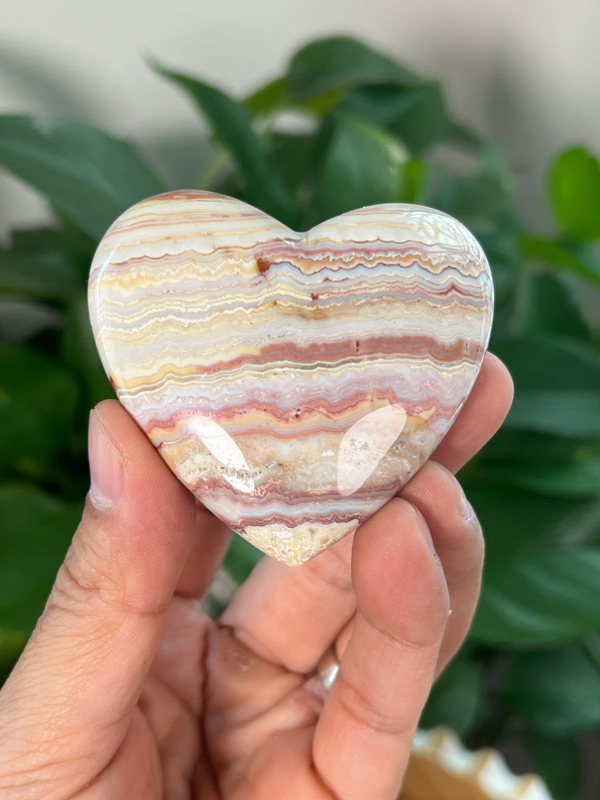 Crazy Lace Agate Small Puffy Moons