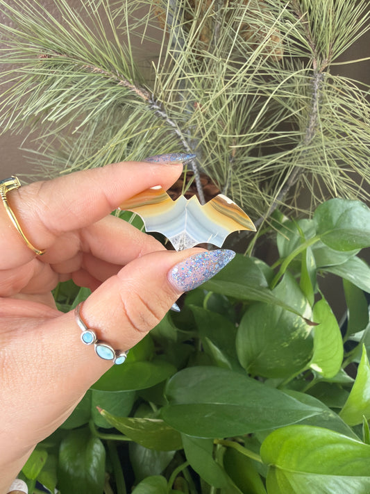 Iris Agate Bat Cabachon