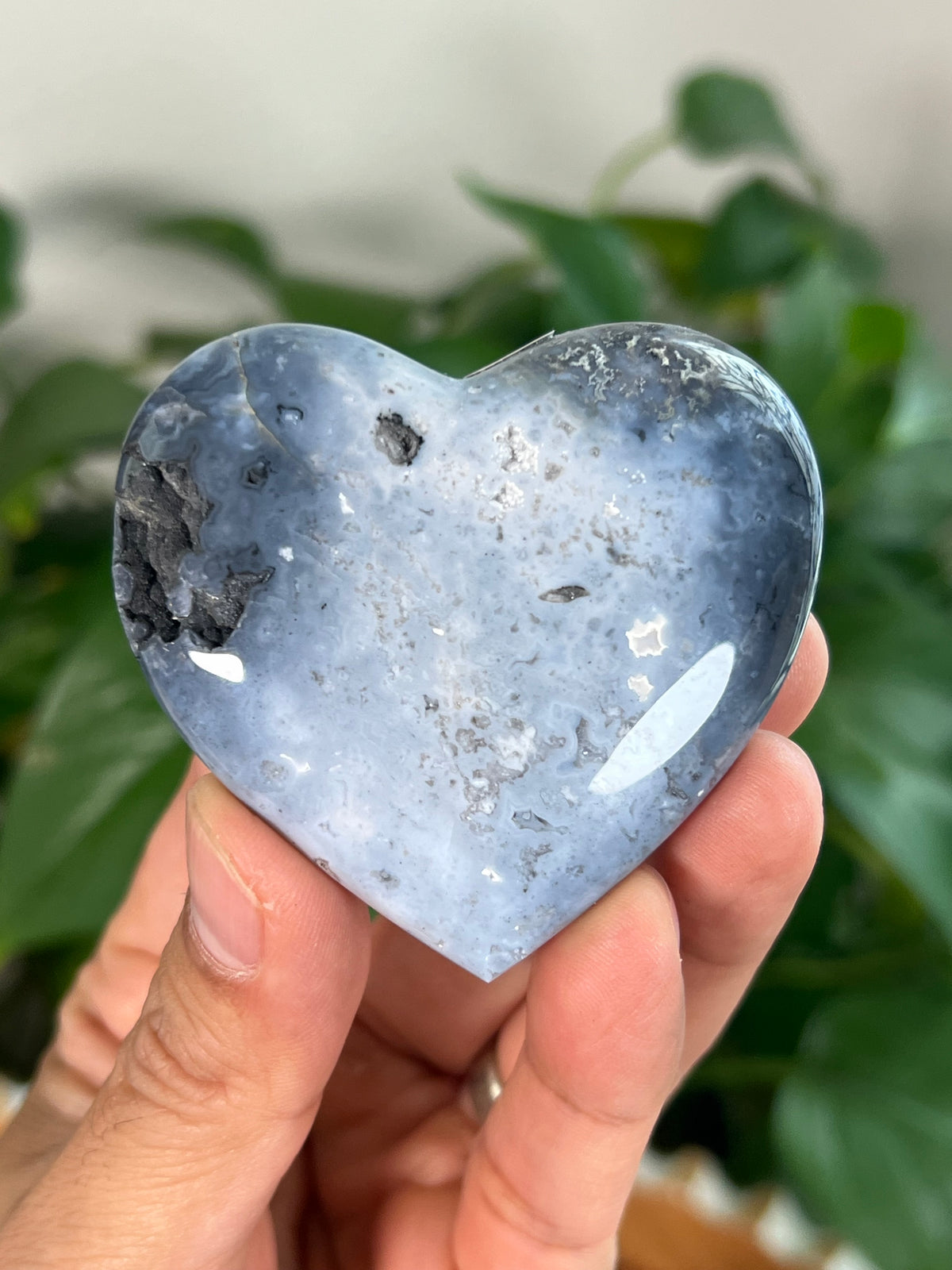 Blue Plume Agate Small Hearts