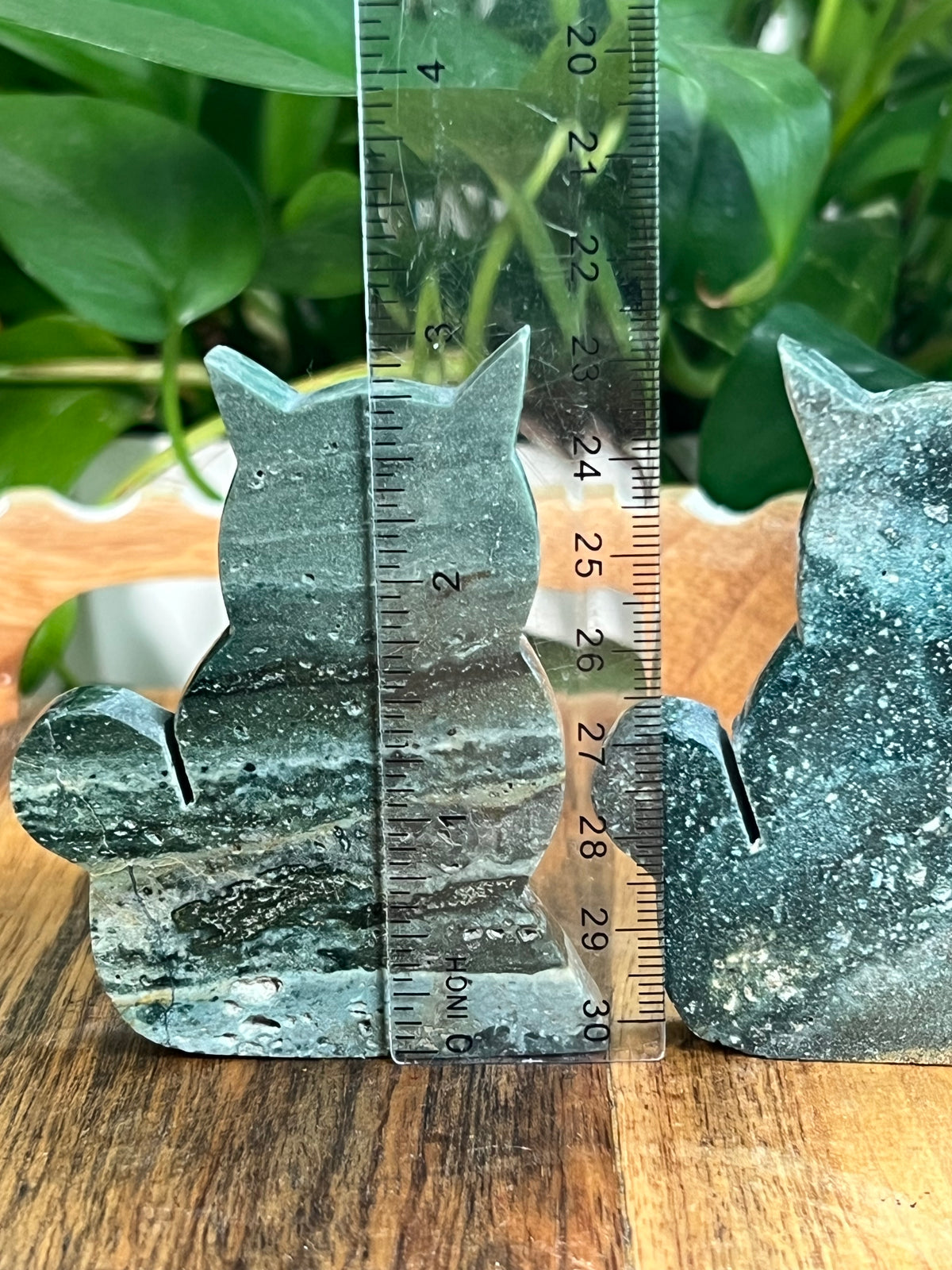 Blue Green Jasper Cats