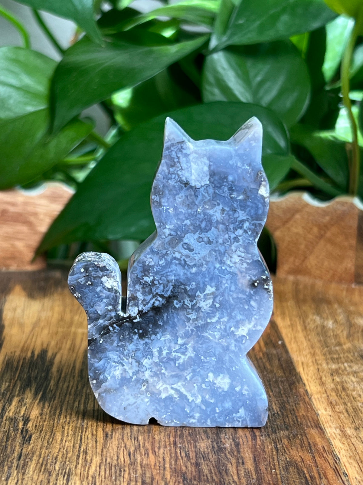 Blue Plume Agate Cat: BG