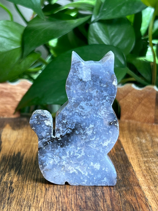 Blue Plume Agate Cat: BG