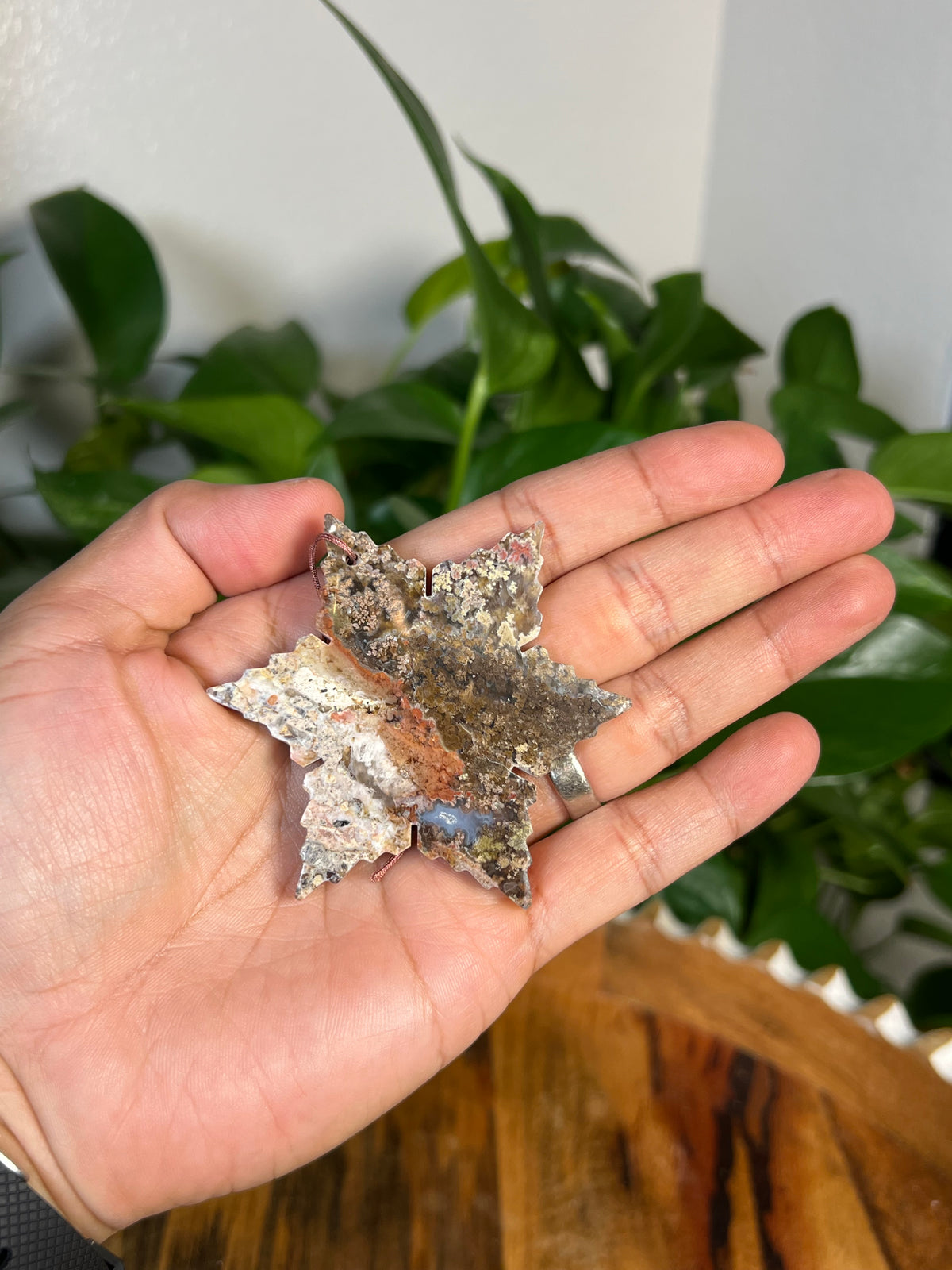 Scenic Moss Agate Snowflake Ornaments
