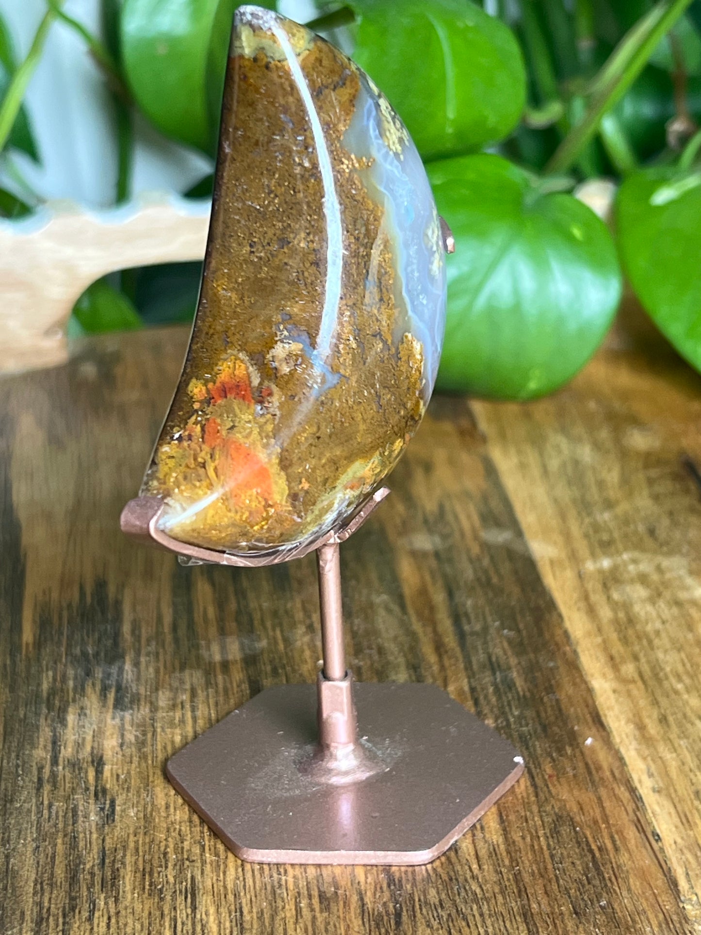 Scenic Moss Agate Moon