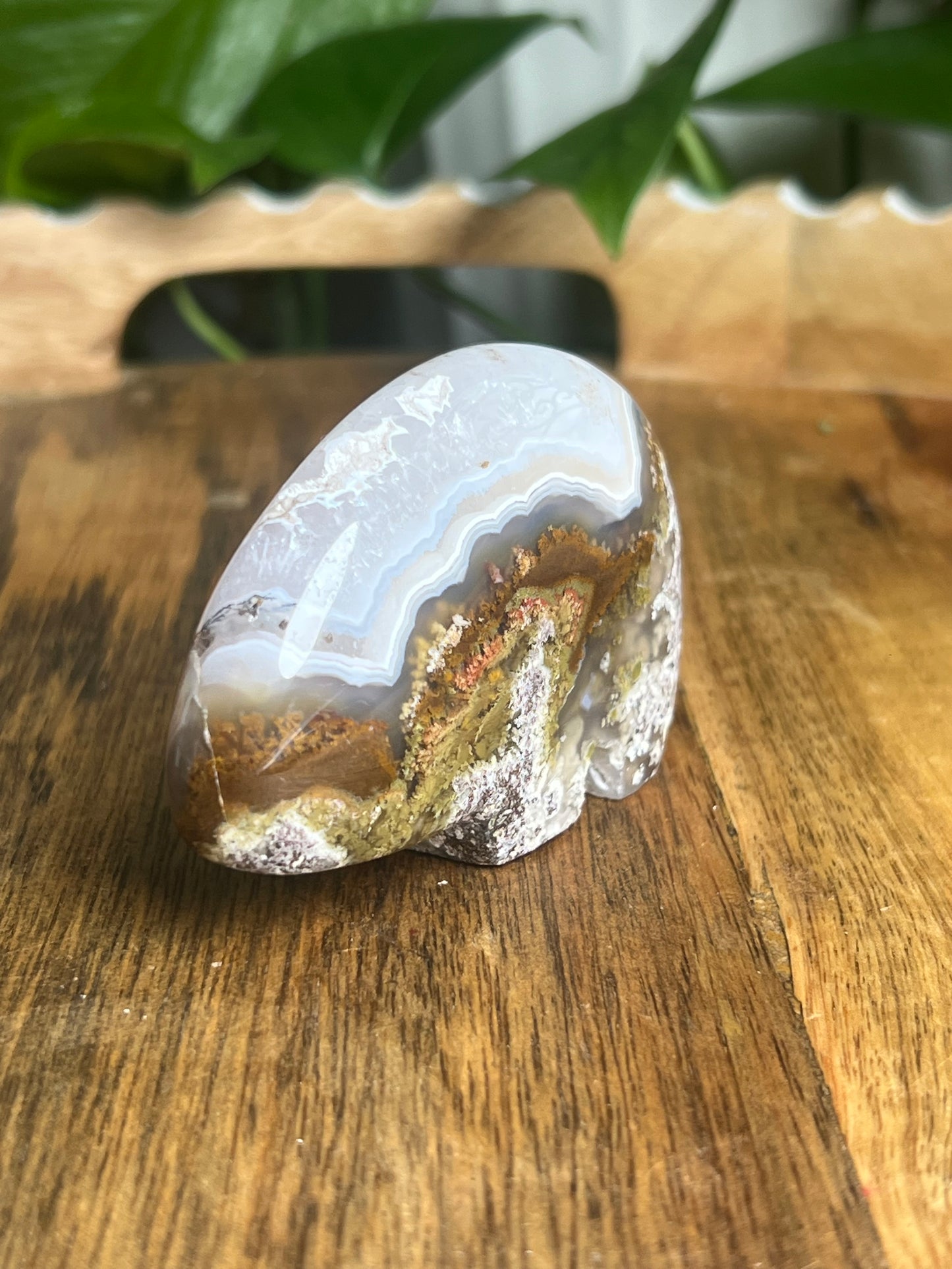 Scenic Moss Agate Bear BQ