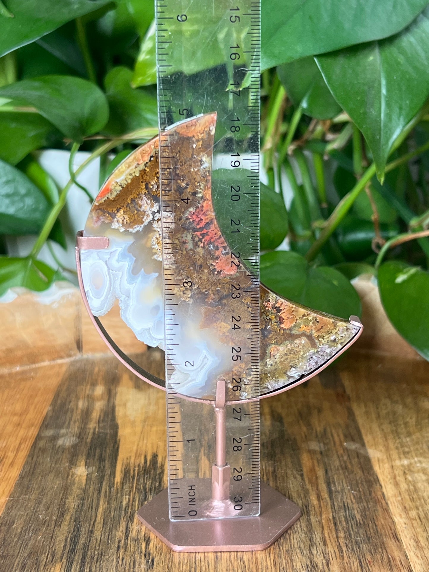 Scenic Moss Agate Moon