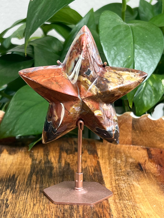 River Jasper Star: NY